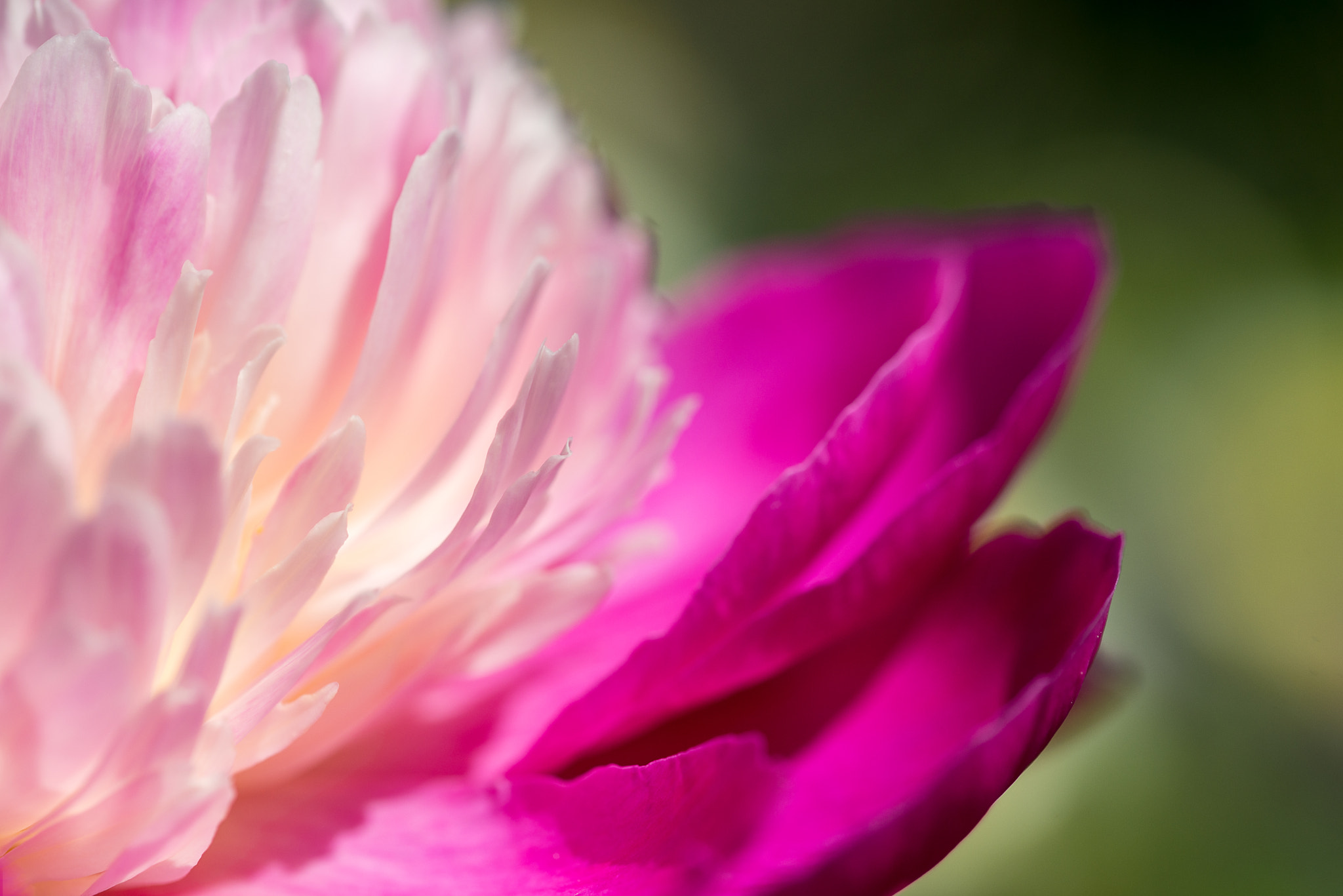 Sigma 105mm F2.8 EX DG OS HSM sample photo