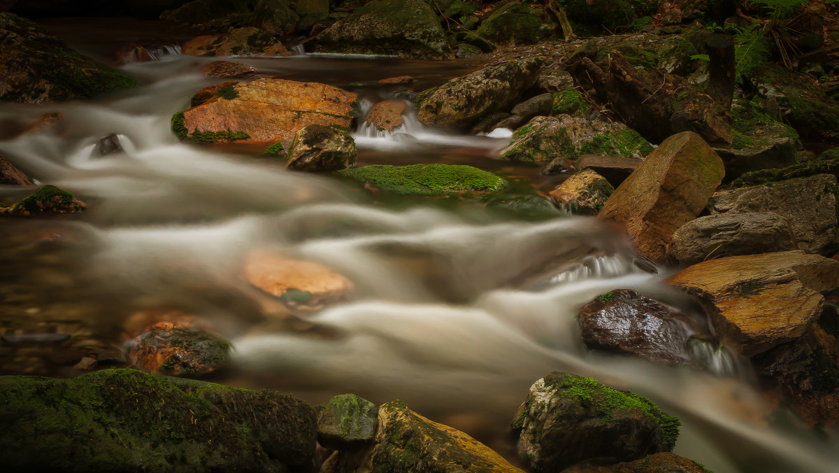 Canon EOS 30D + Canon EF 17-40mm F4L USM sample photo. Moravia photography