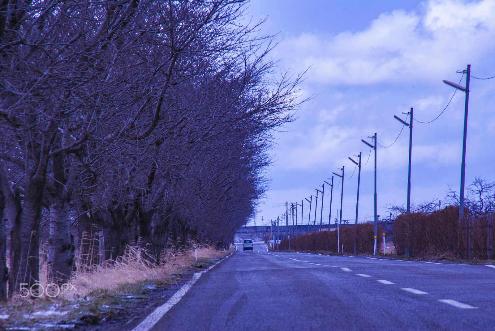 Tamron AF 18-200mm F3.5-6.3 XR Di II LD Aspherical (IF) Macro sample photo. " 並木道 "avenue photography