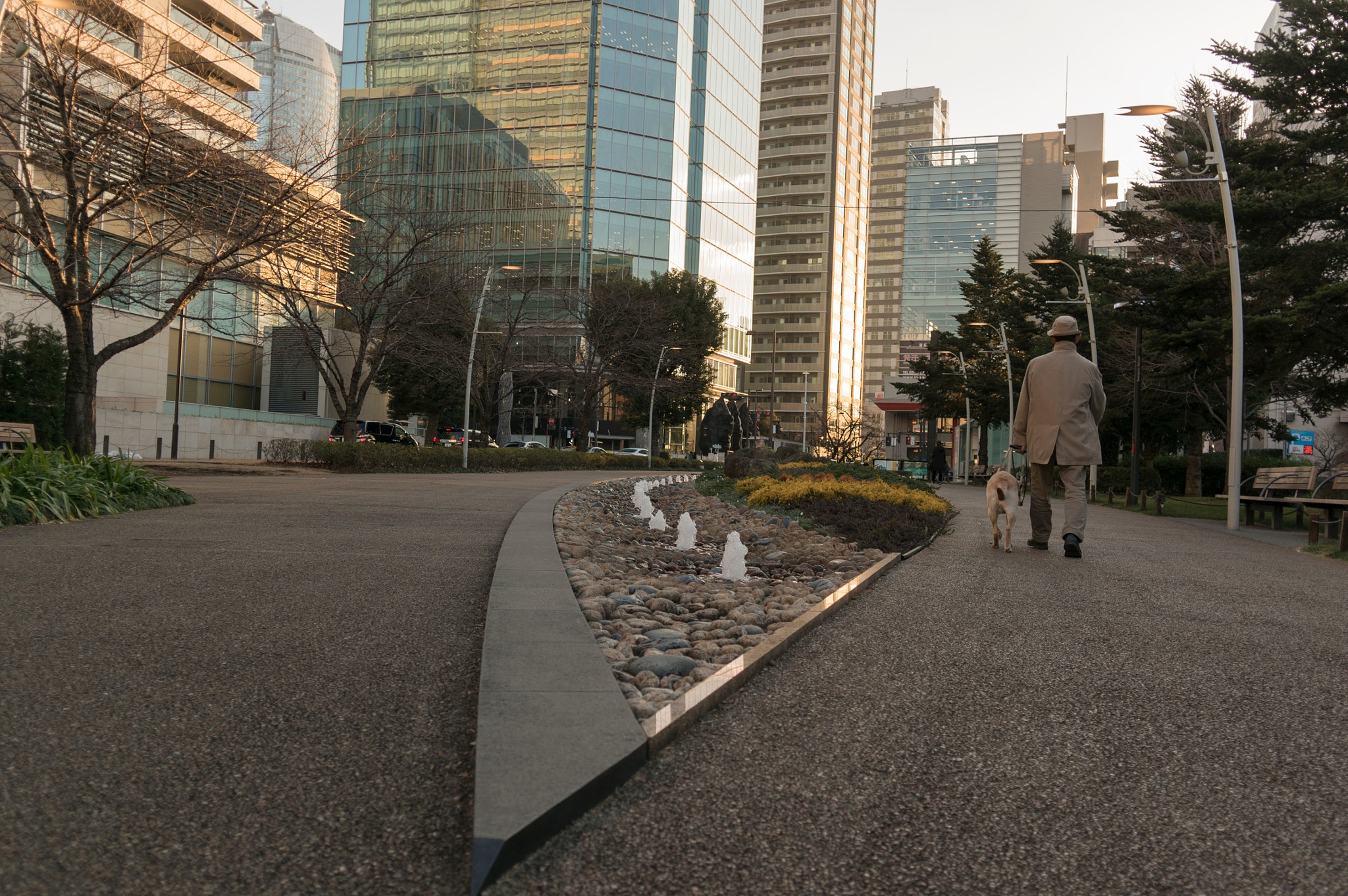 Sony Alpha NEX-5R + Sigma 19mm F2.8 EX DN sample photo. Walking on the park photography