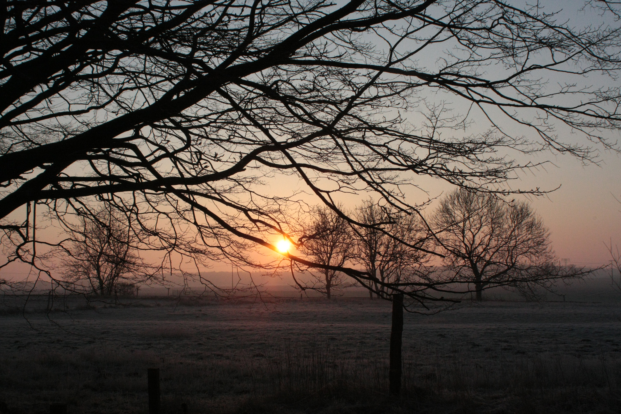 Canon EF 28-80mm f/3.5-5.6 sample photo. Winter morning photography