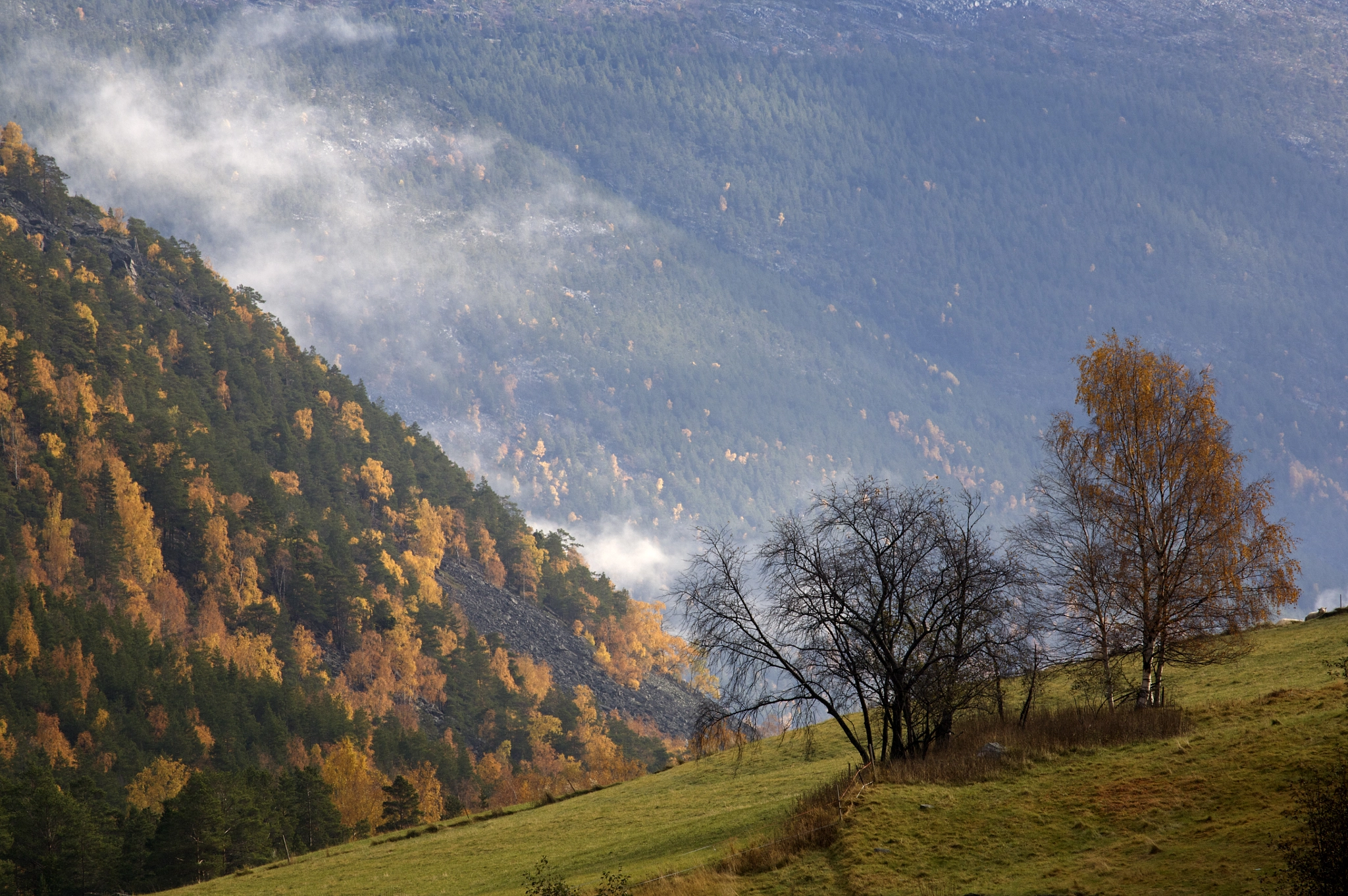 Canon EF 100-400mm F4.5-5.6L IS USM sample photo. Autumn photography