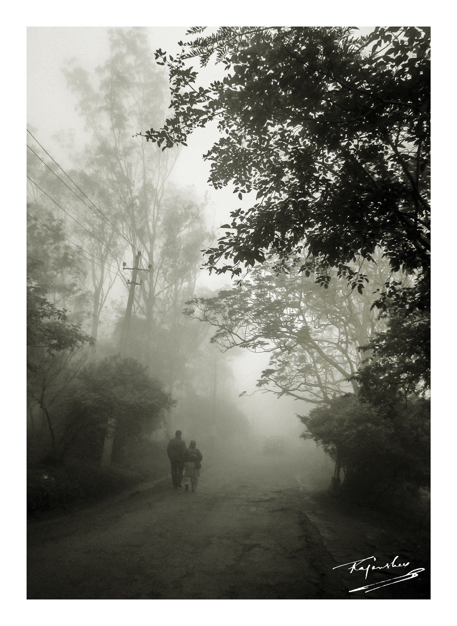 Canon PowerShot A3200 IS sample photo. Walk in the fog photography
