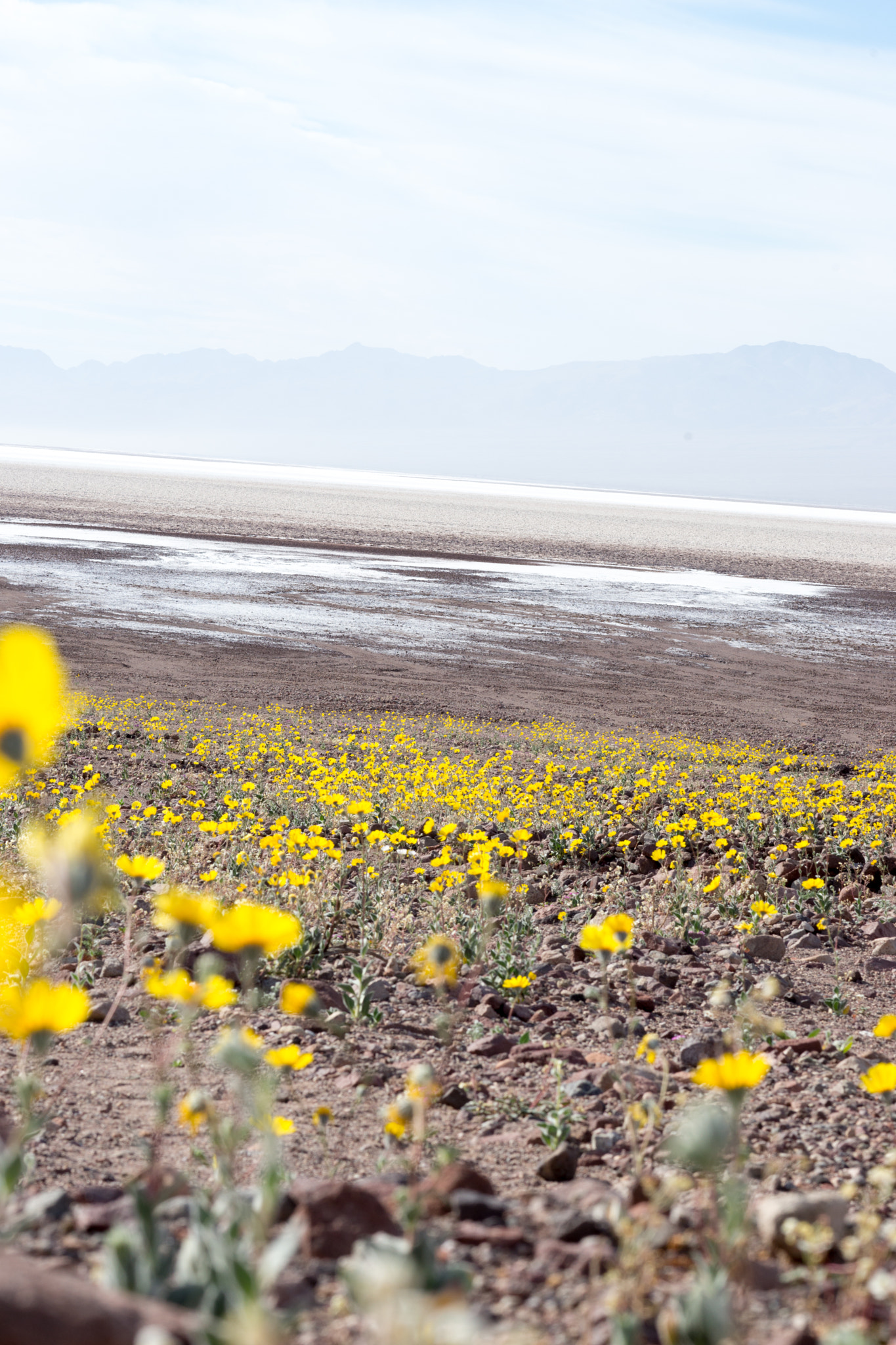 Sony a99 II sample photo. Death valley photography