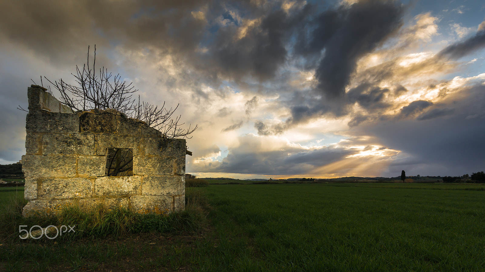 Samsung NX300M + Samsung NX 12-24mm F4-5.6 ED sample photo. Mallorquin countryside photography