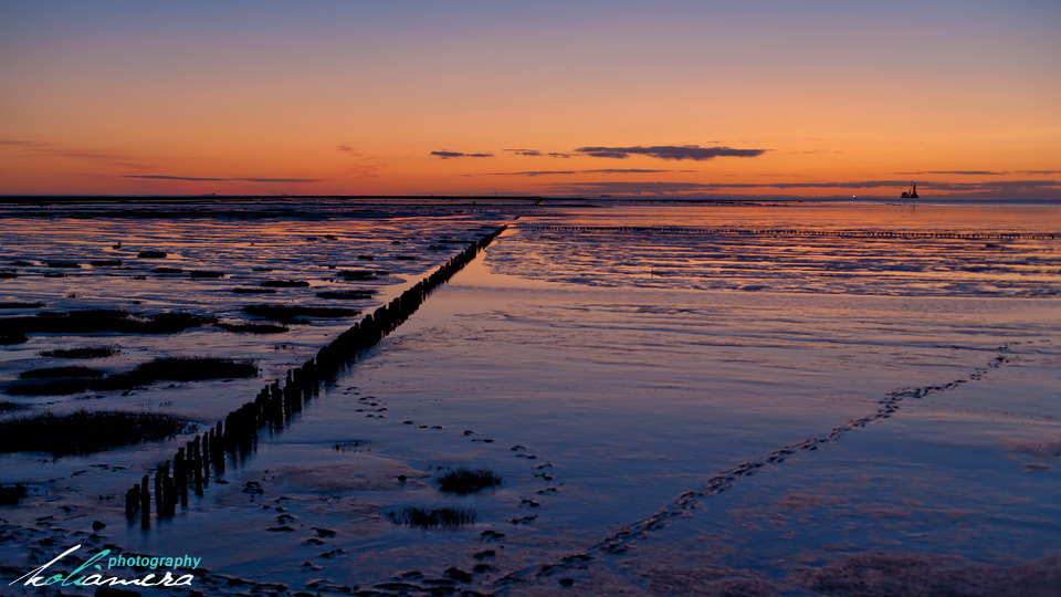 Canon EOS-1Ds Mark II sample photo. Colorful north sea photography