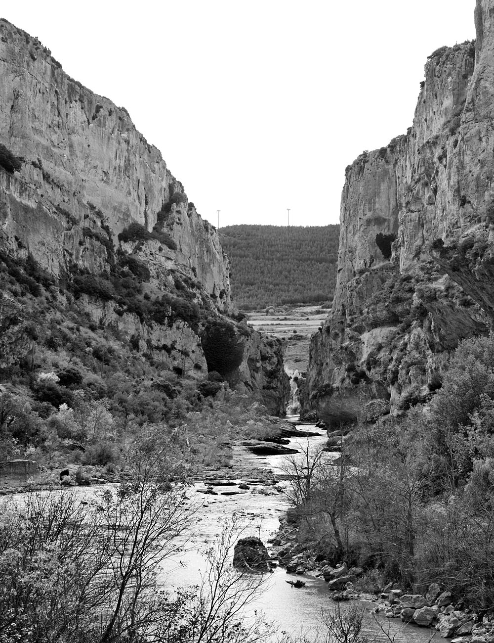 Canon EOS-1Ds Mark III + Canon EF 50mm F1.8 II sample photo. Foz de lumbier, navarra photography