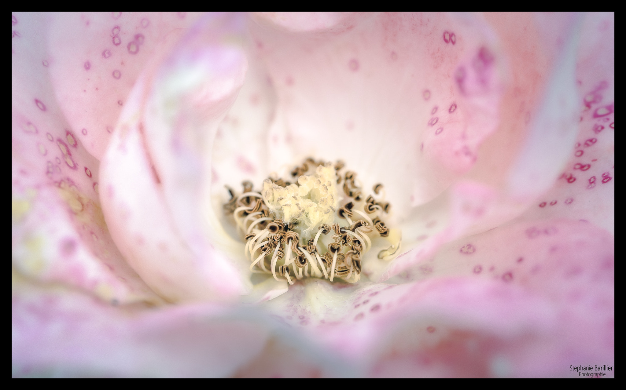 Nikon D3 sample photo