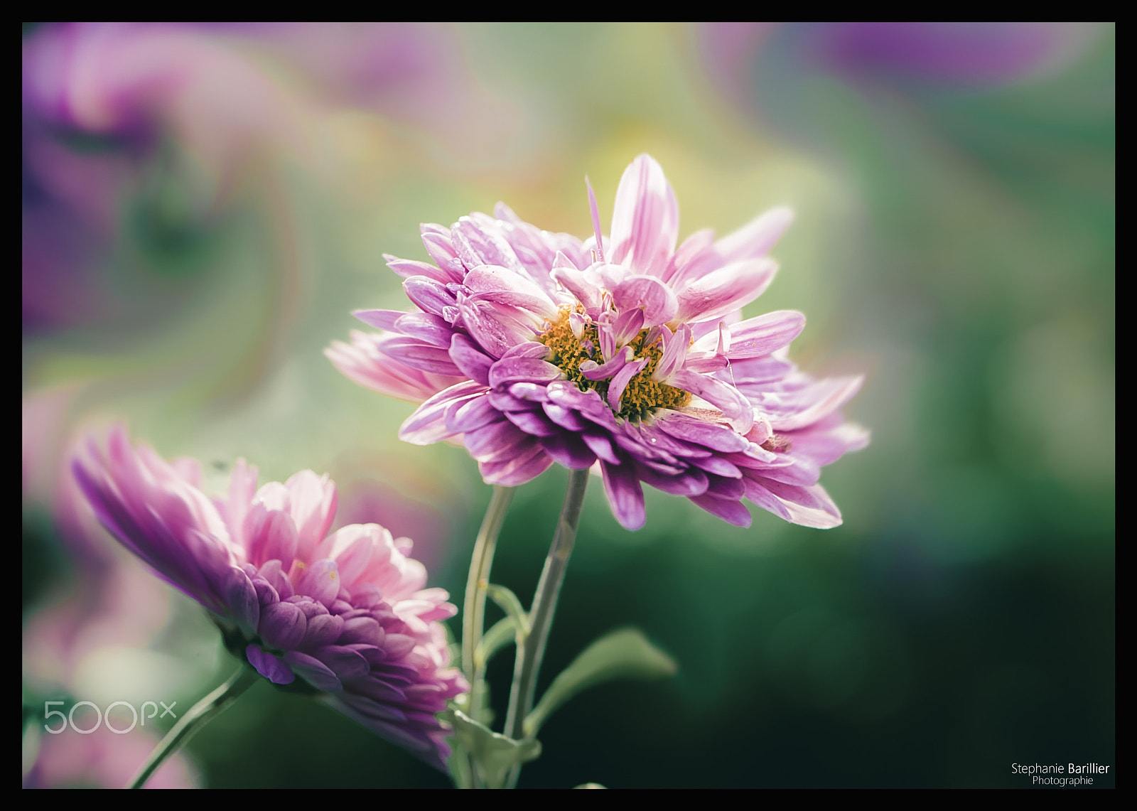 Nikon D3 sample photo