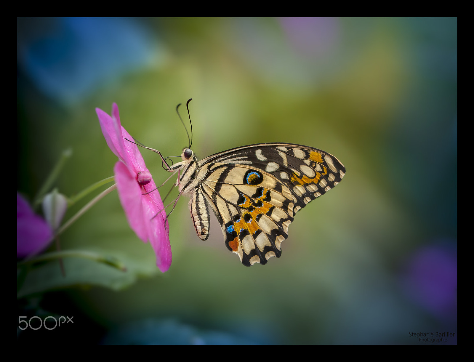 Nikon D3 sample photo. Untitled photography