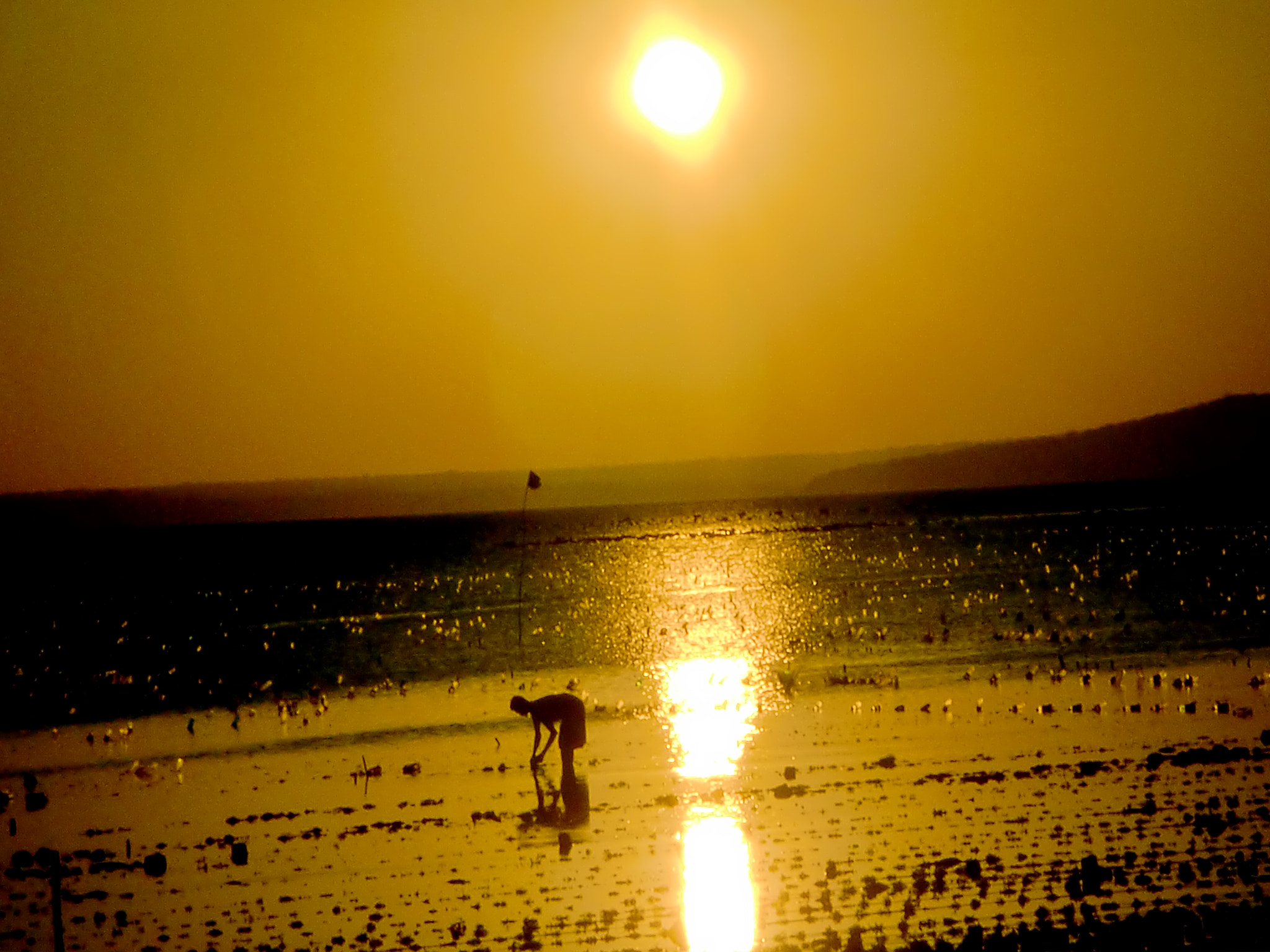 CASIO EX-Z90 sample photo. Workin in the beach photography