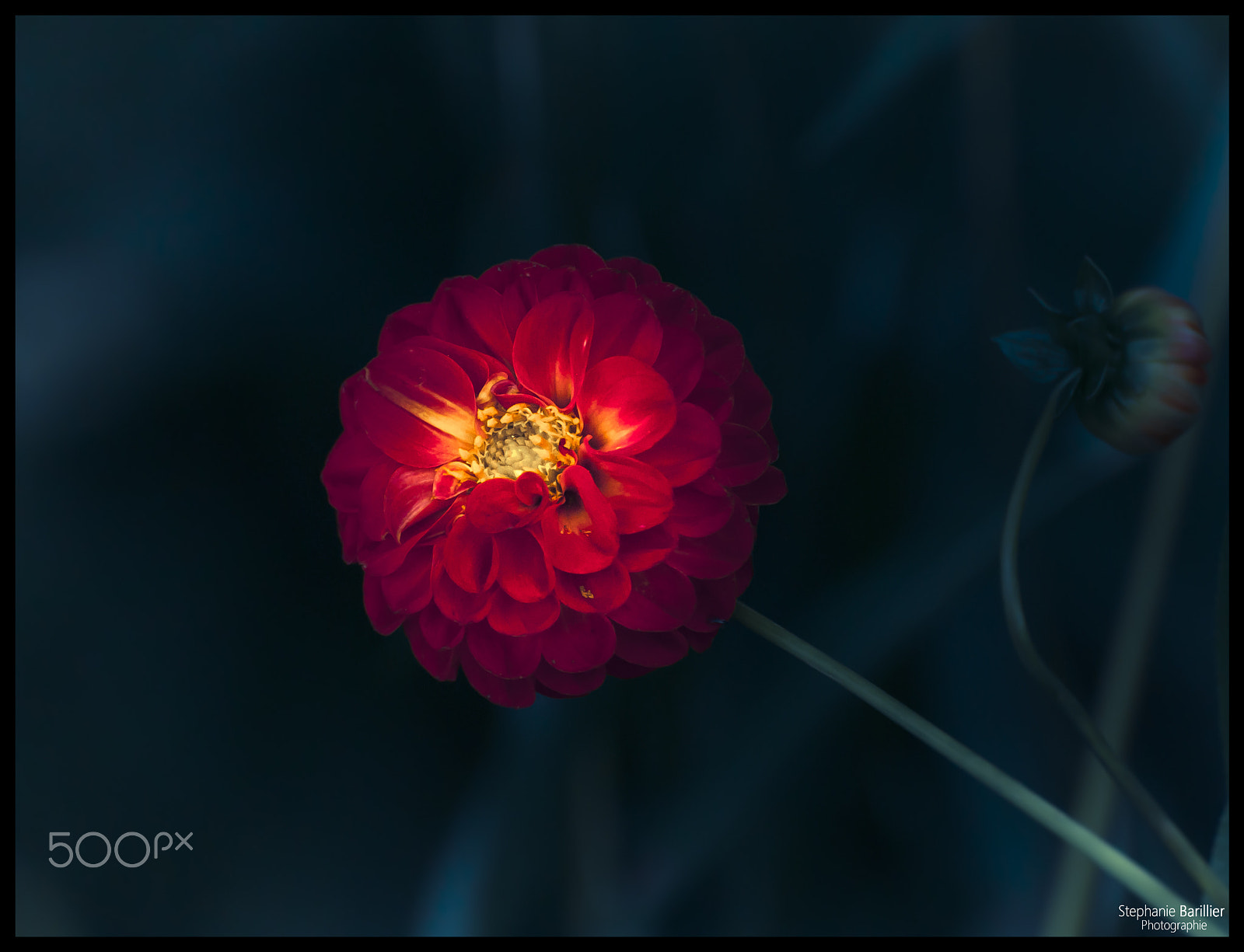 Nikon D3 sample photo