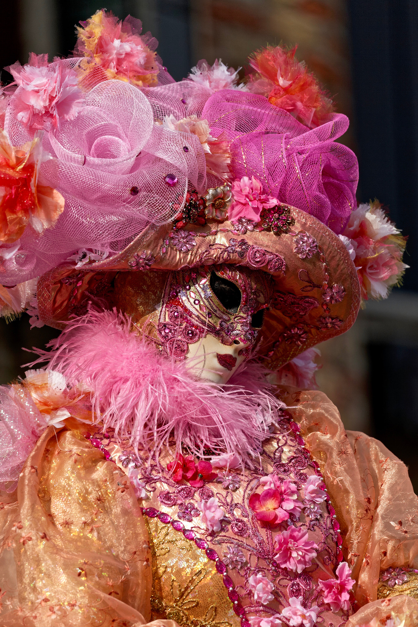 Canon EF 100-400mm F4.5-5.6L IS II USM sample photo. 2015_25 - carnival lady - i photography