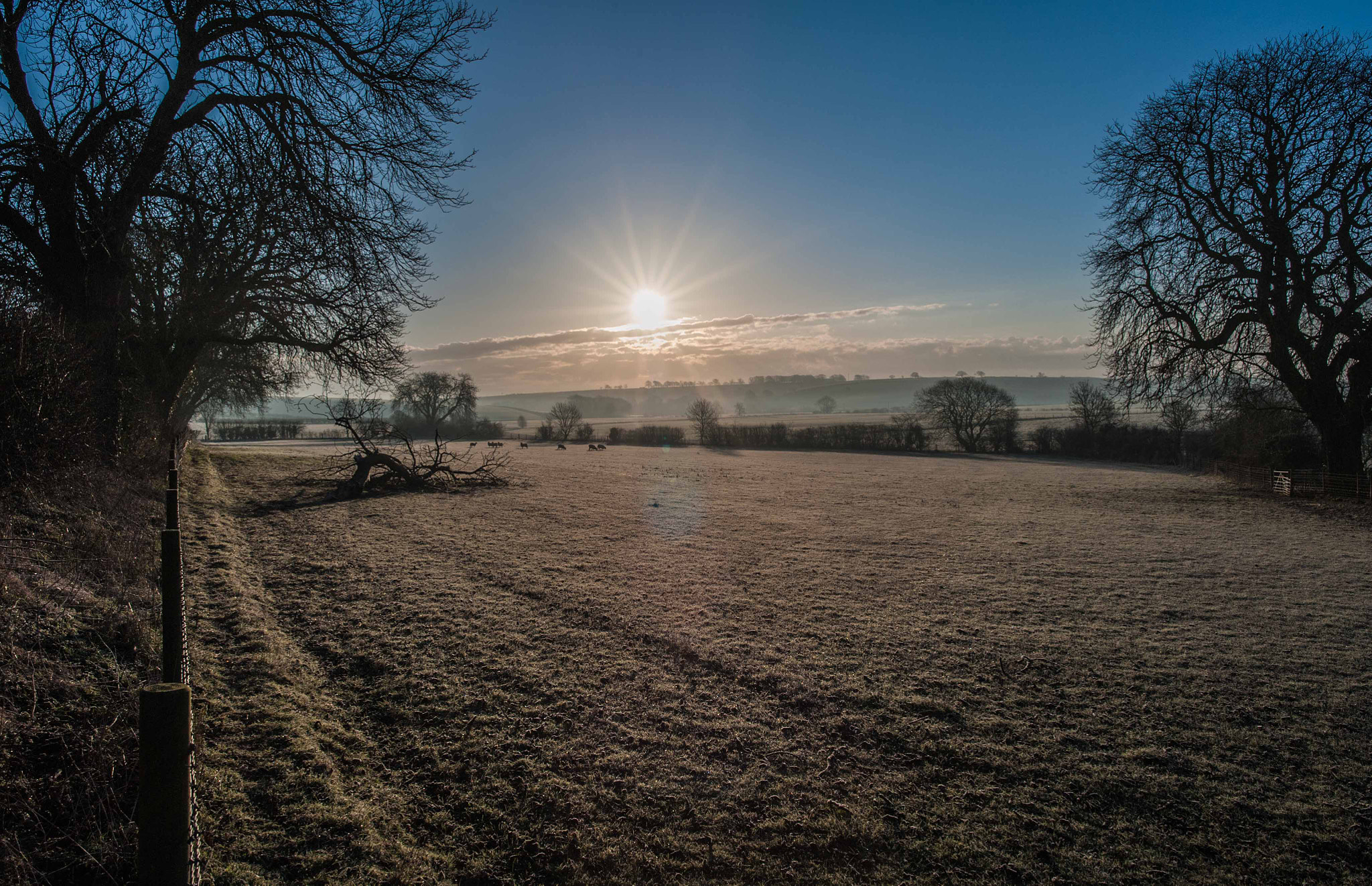 Nikon D700 + Nikon AF-S Nikkor 24mm F1.4G ED sample photo. Waking up... photography
