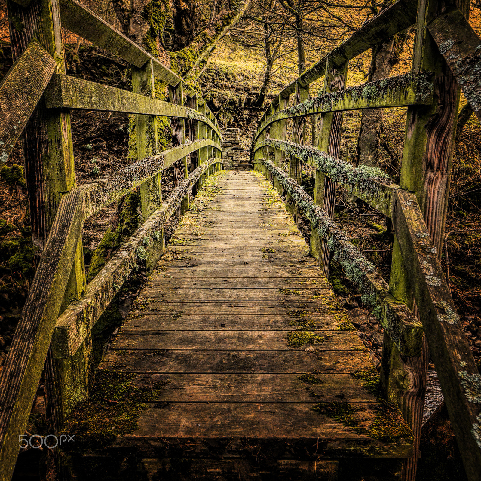 Canon TS-E 24.0mm f/3.5 L II sample photo. The old wooden bridge photography