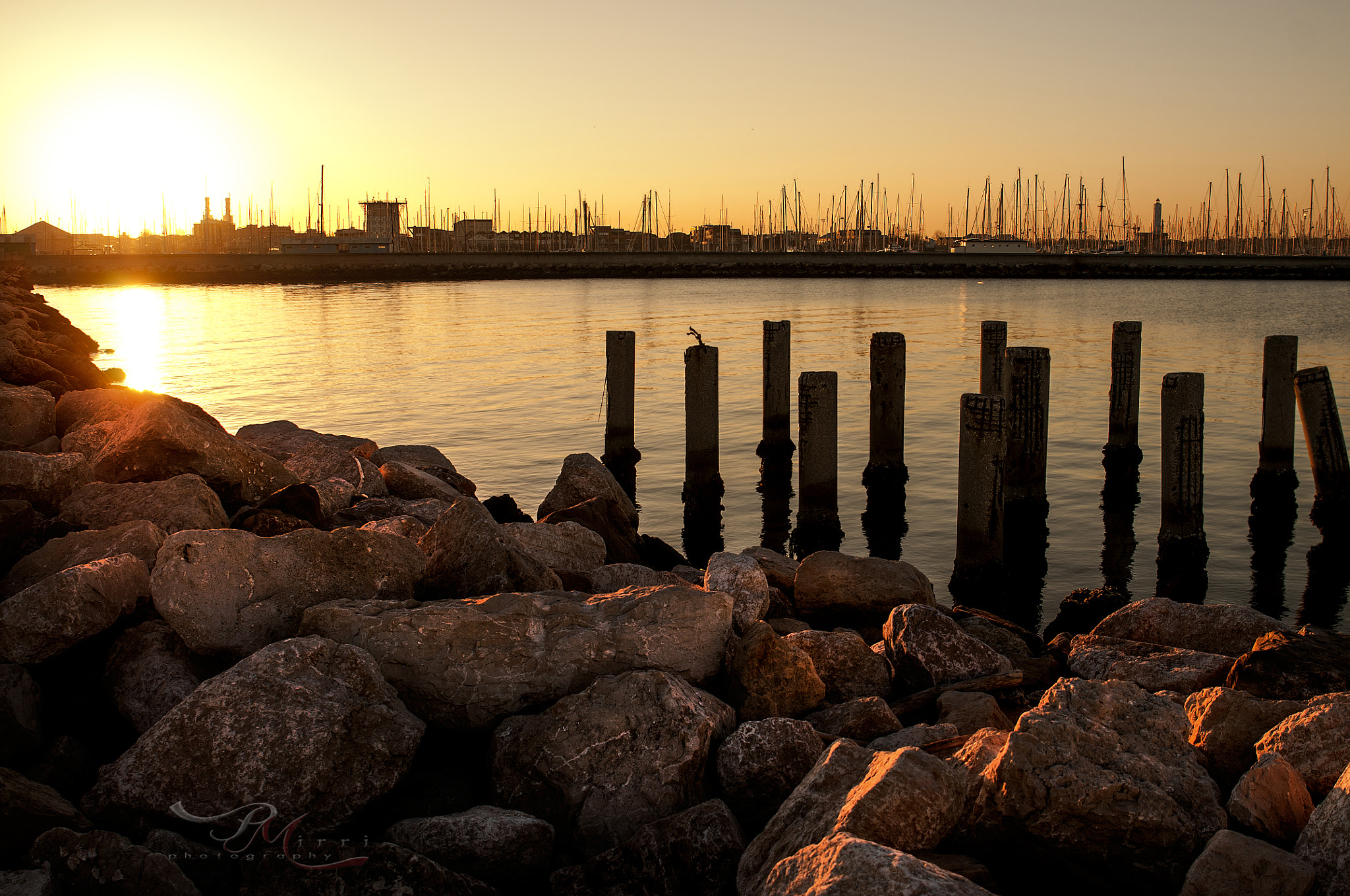 Tamron SP 24-70mm F2.8 Di VC USD sample photo. Marina di ravenna photography
