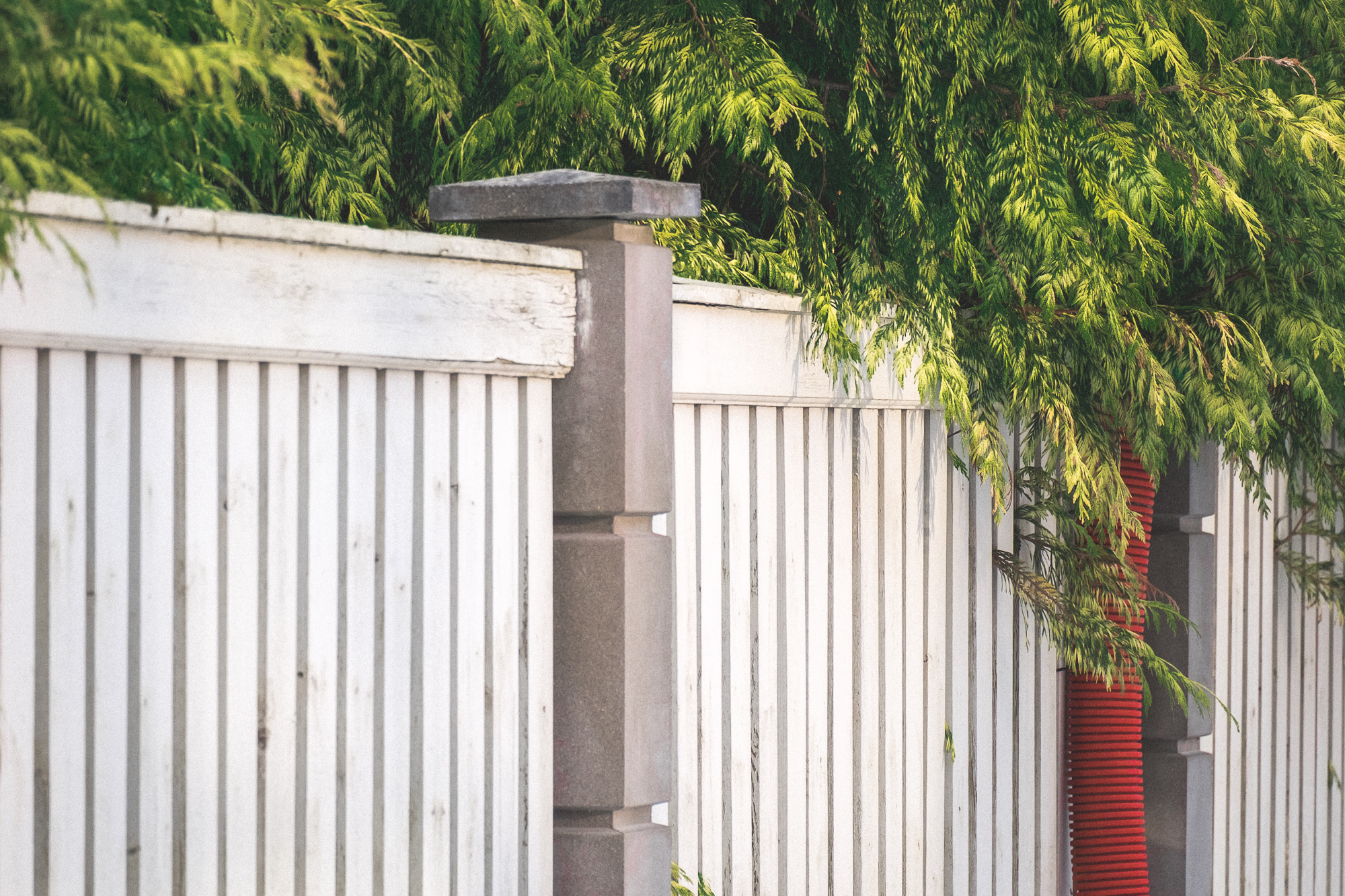Fujifilm X-T10 + Fujifilm XC 50-230mm F4.5-6.7 OIS II sample photo
