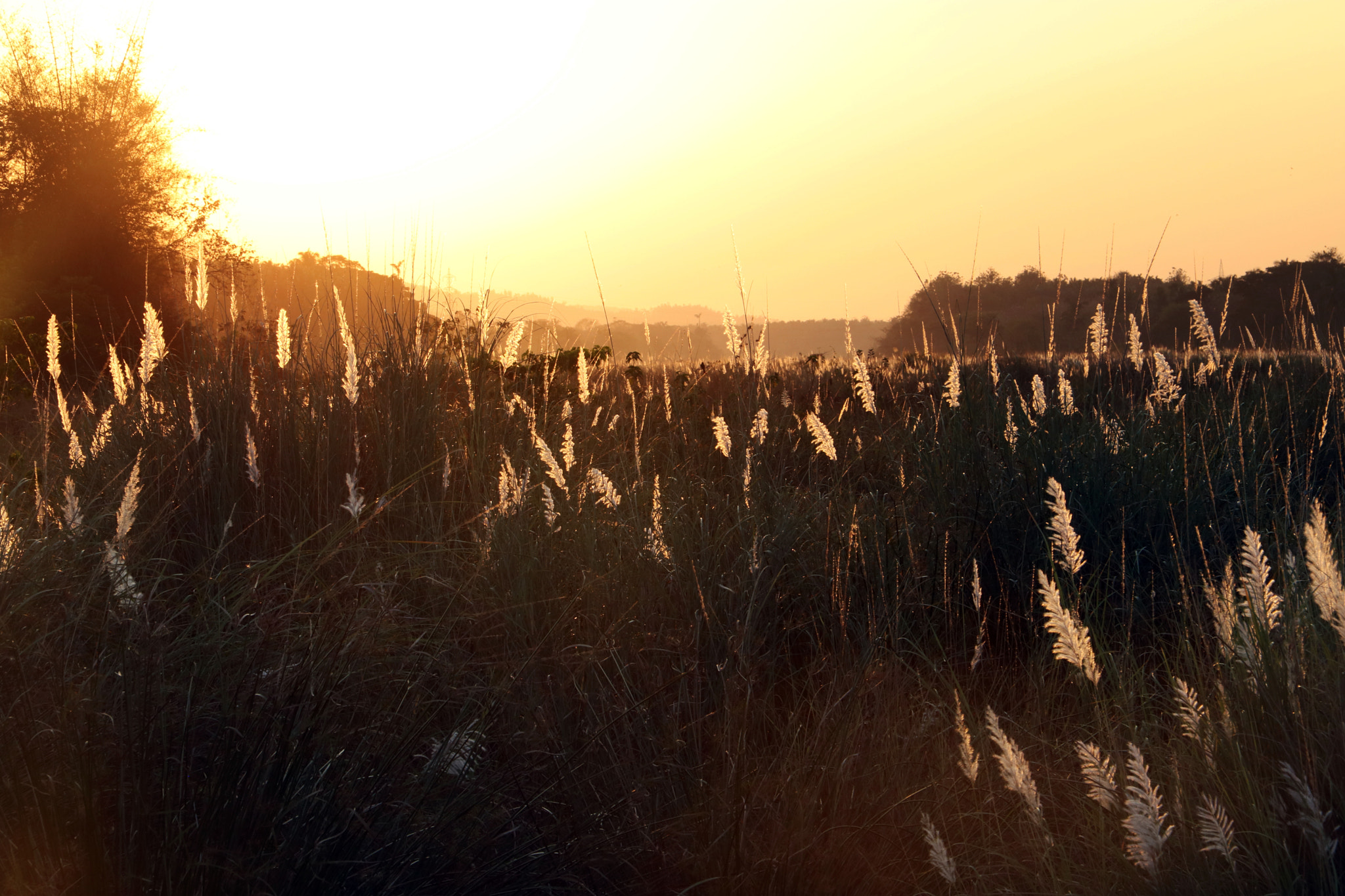 Canon EOS 750D (EOS Rebel T6i / EOS Kiss X8i) sample photo. Sunset.jpg photography