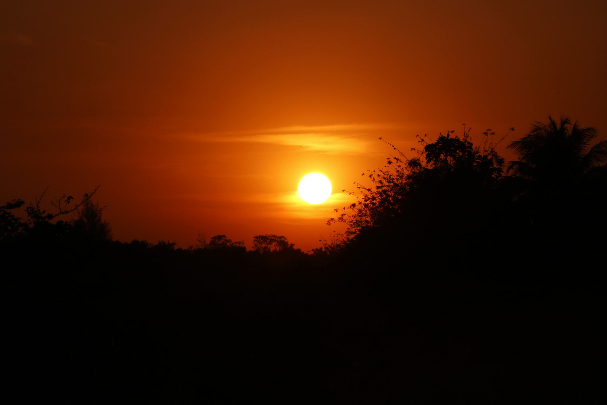 Canon EOS 750D (EOS Rebel T6i / EOS Kiss X8i) sample photo. Sunset1.jpg photography