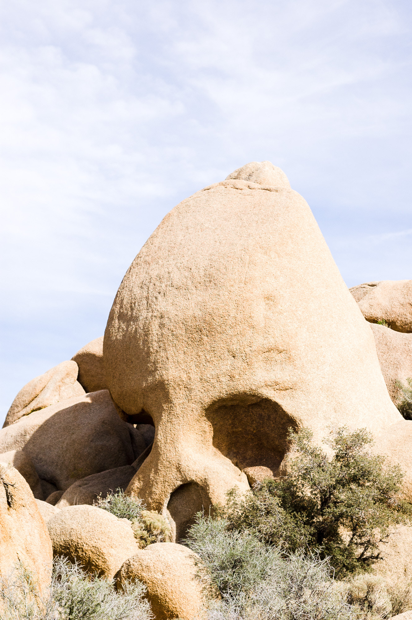 AF Nikkor 50mm f/1.8 N sample photo. Skull rock photography