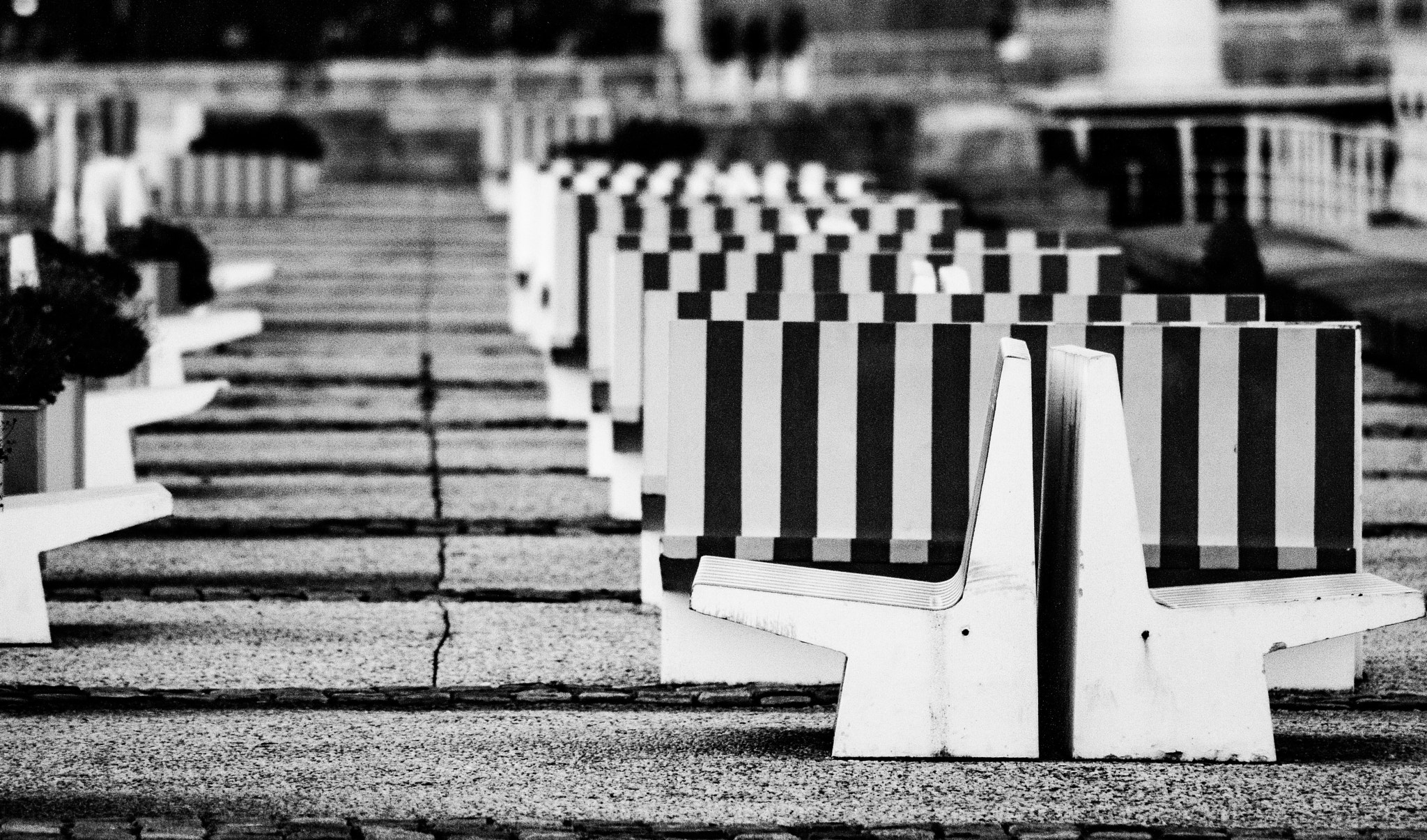 Canon EOS 400D (EOS Digital Rebel XTi / EOS Kiss Digital X) sample photo. Bench pattern photography