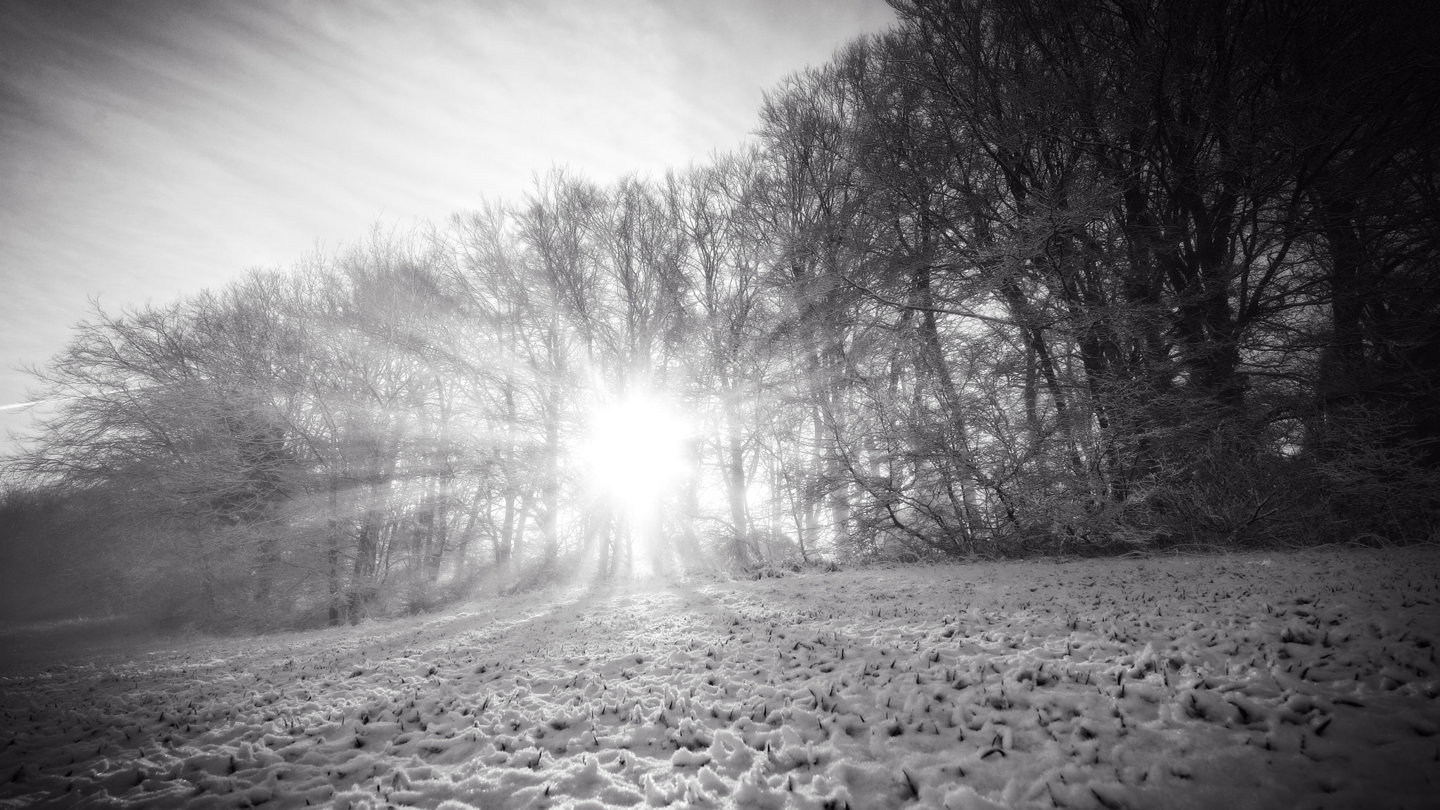 Sony a99 II sample photo. Winter sunrise photography