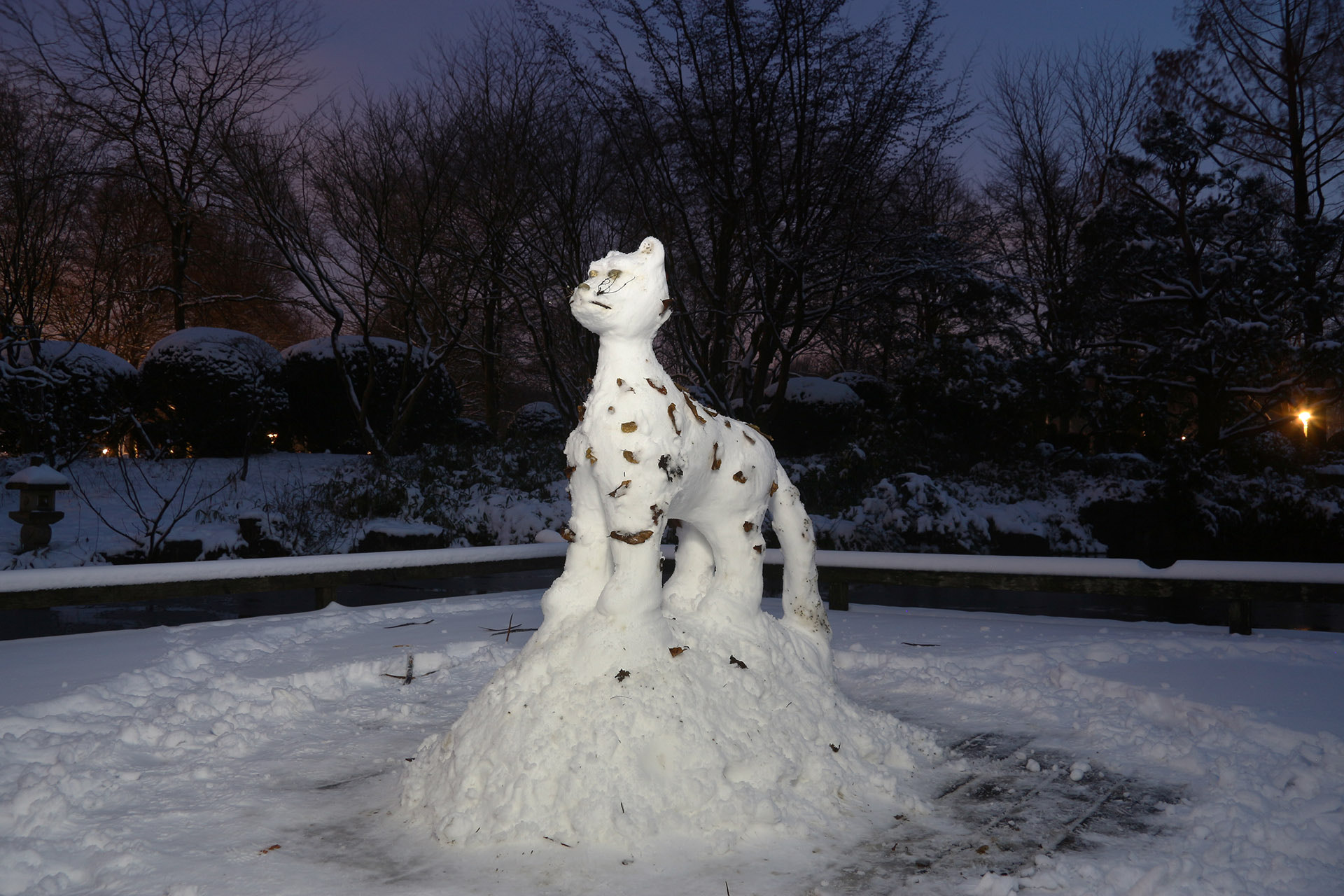 Canon EF-S 17-85mm F4-5.6 IS USM sample photo. El pantera de las nieves photography