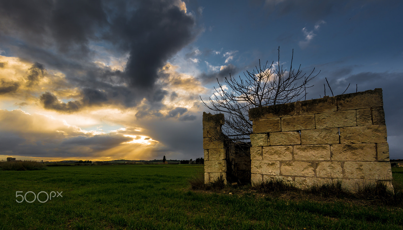 Samsung NX300M + Samsung NX 12-24mm F4-5.6 ED sample photo. Mallorquin countryside 2 photography