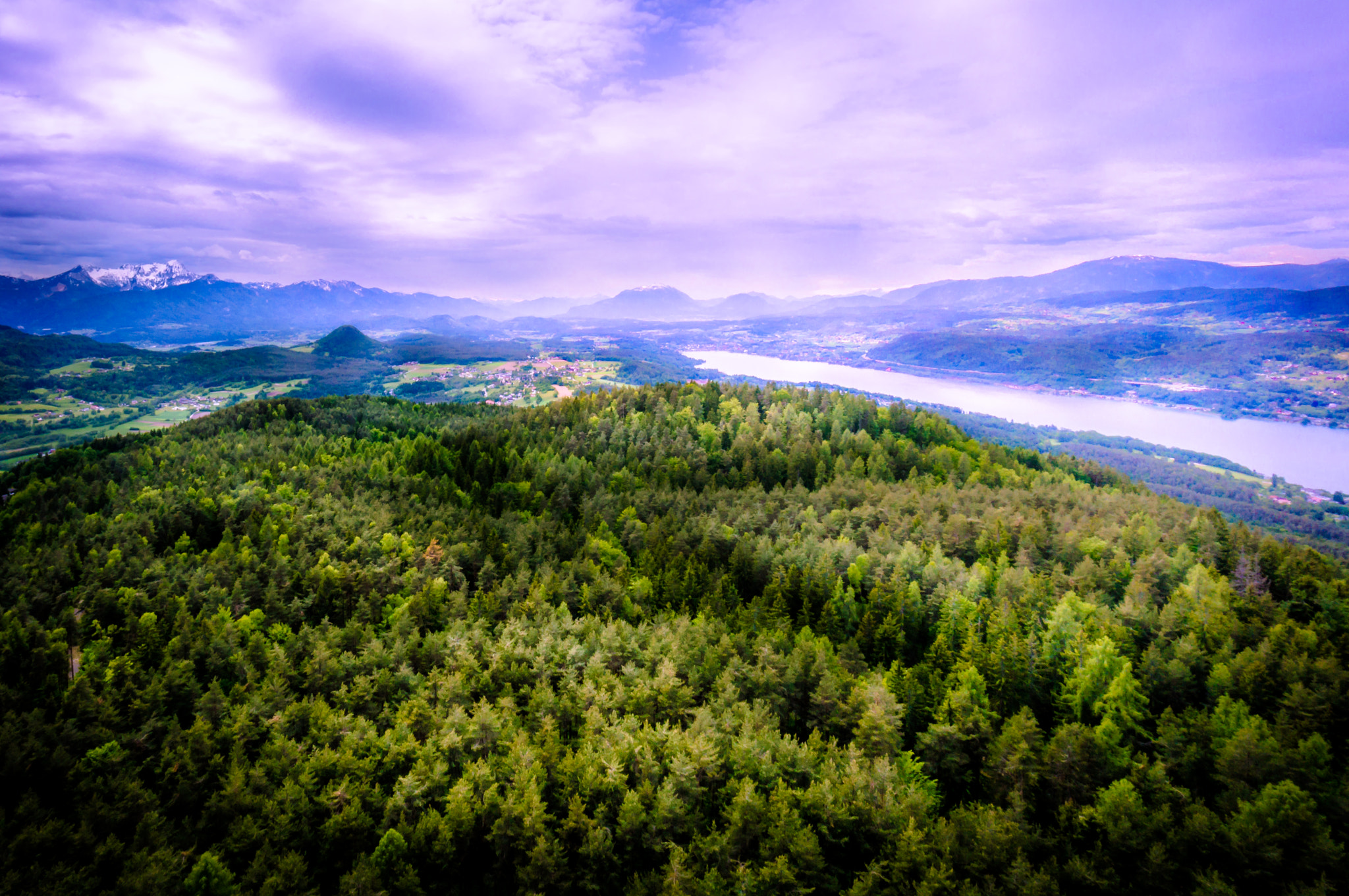 Sony Alpha NEX-3N + Sony E 10-18mm F4 OSS sample photo. Purple vs. green photography