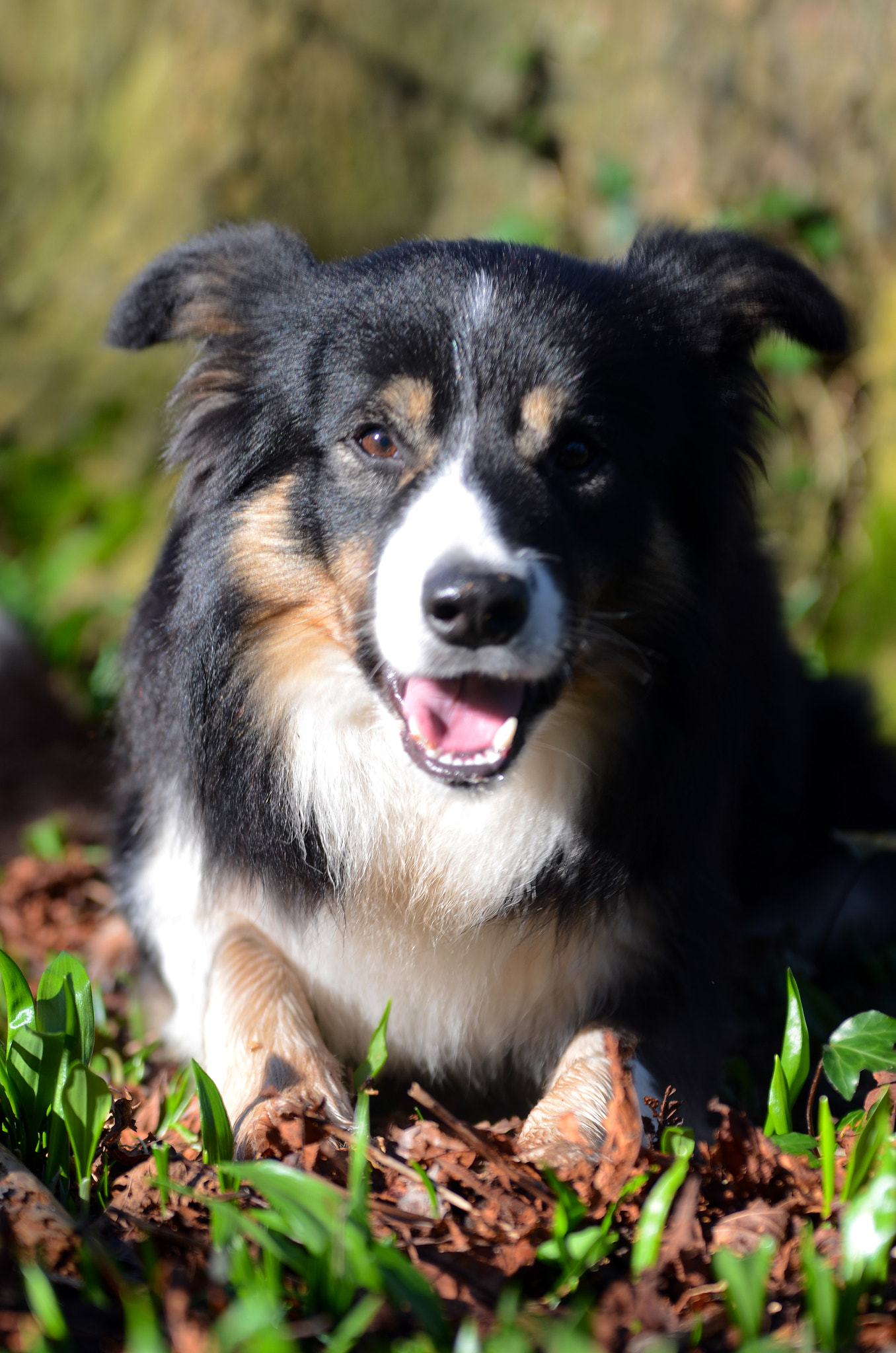 Sigma 70-200mm F2.8 EX DG OS HSM sample photo. A real poser.. photography