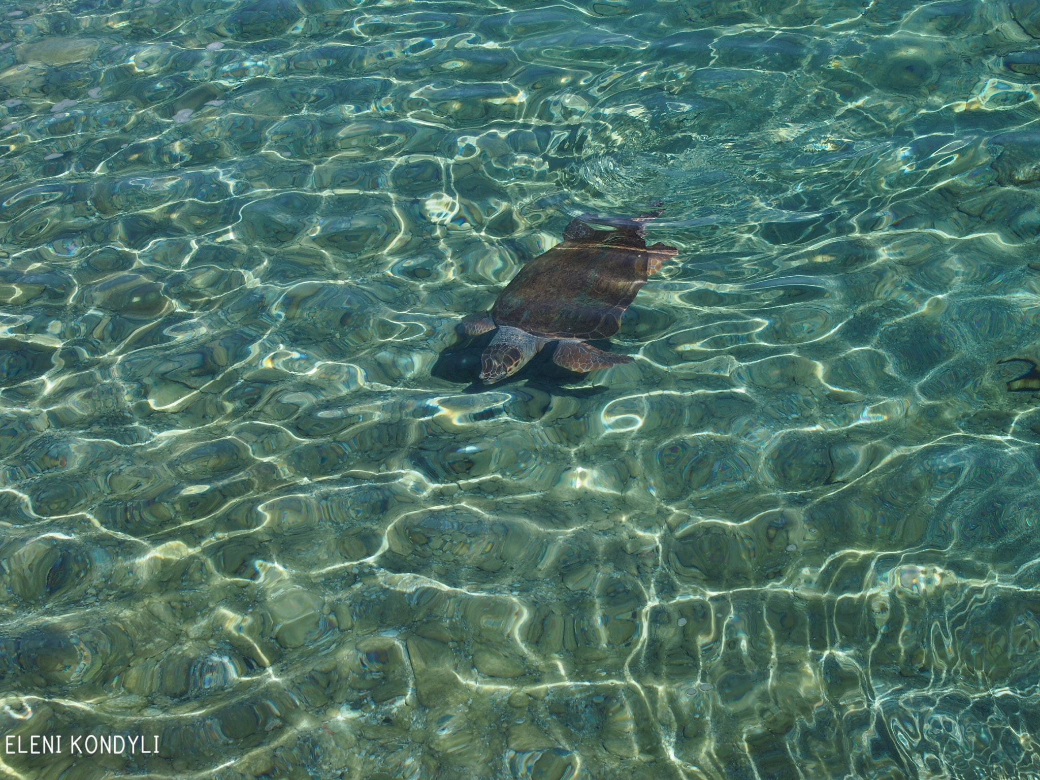 Olympus PEN E-P3 sample photo. Simply life photography