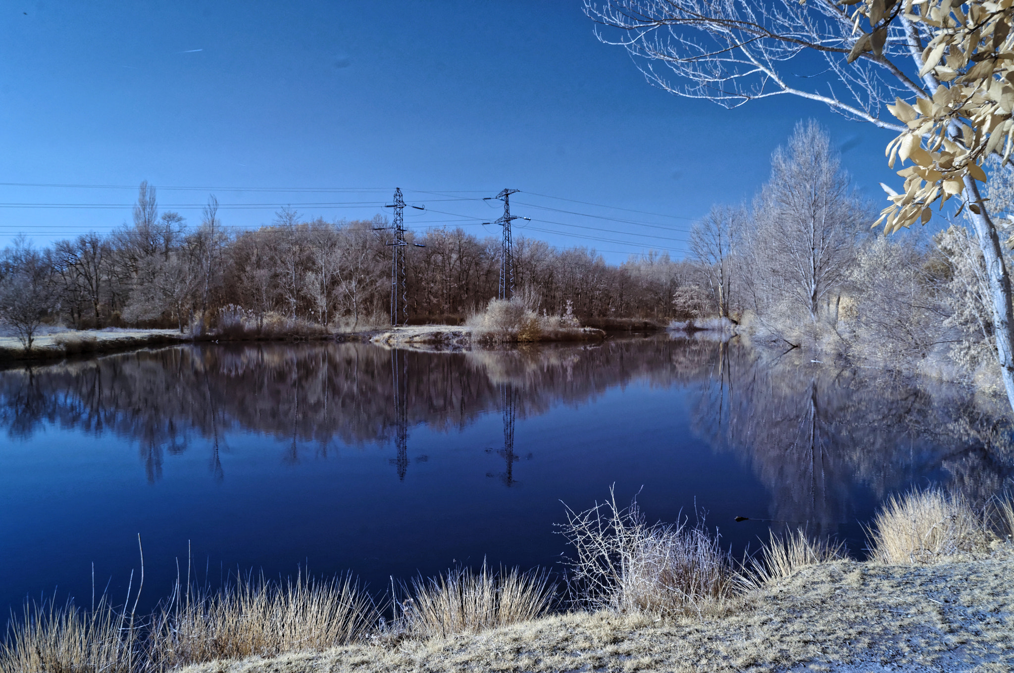 Nikon D5000 + Sigma 18-35mm F1.8 DC HSM Art sample photo. Infrared photography