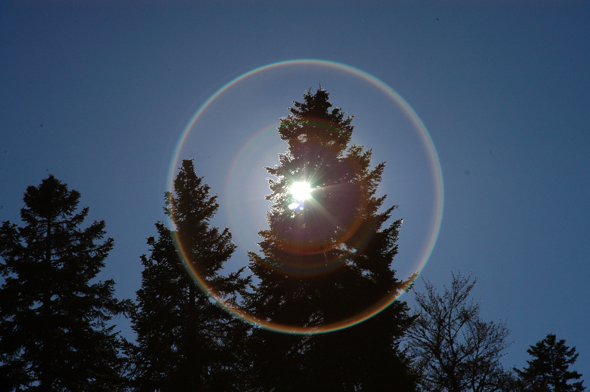 Nikon D100 sample photo. Rainbow rings photography