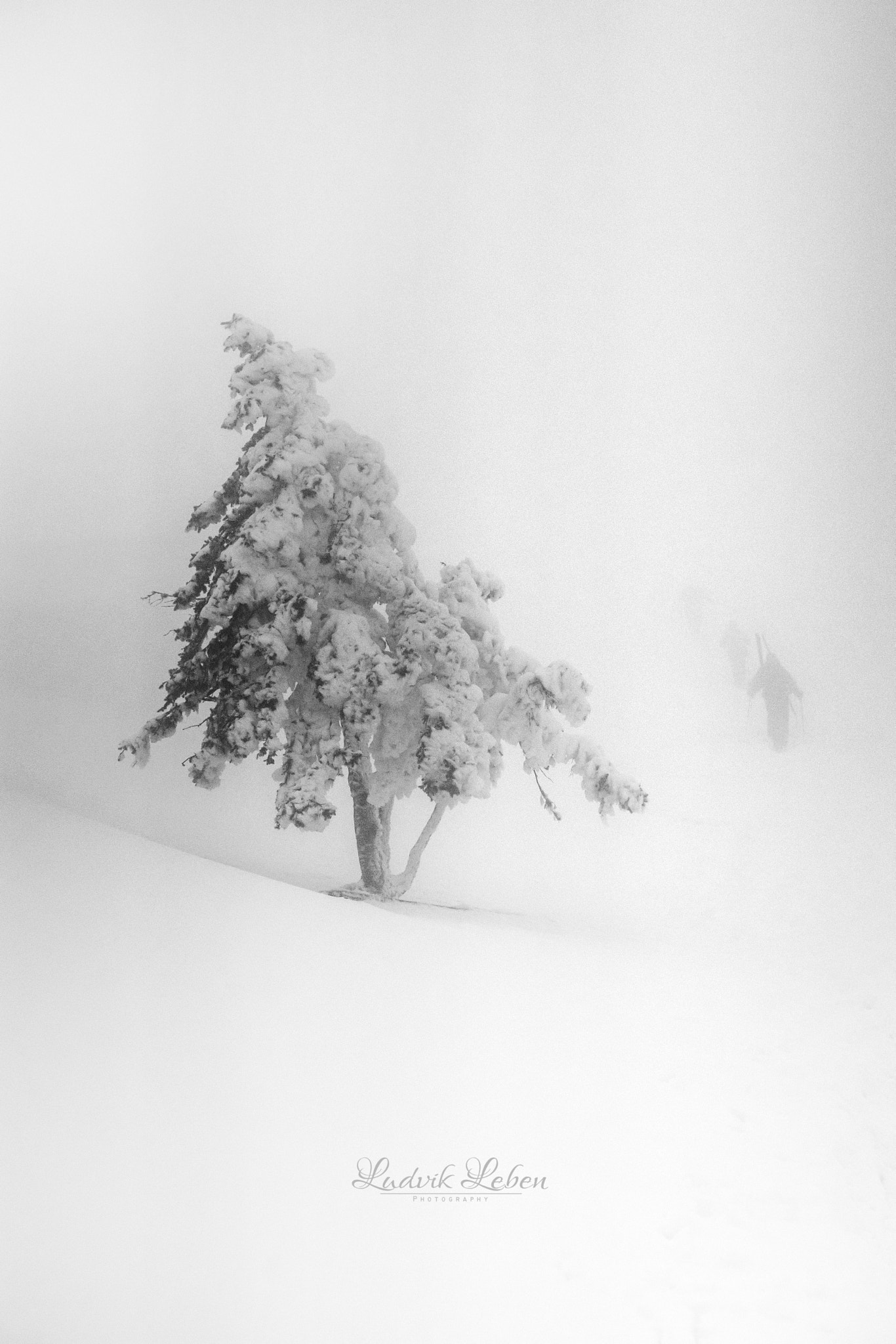 Sony a7 II + Sony 50mm F1.4 sample photo. Foggy photography