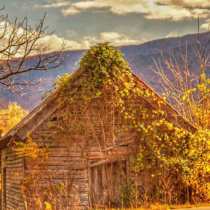 Canon EOS 450D (EOS Rebel XSi / EOS Kiss X2) sample photo. Barn down by  the smokies photography