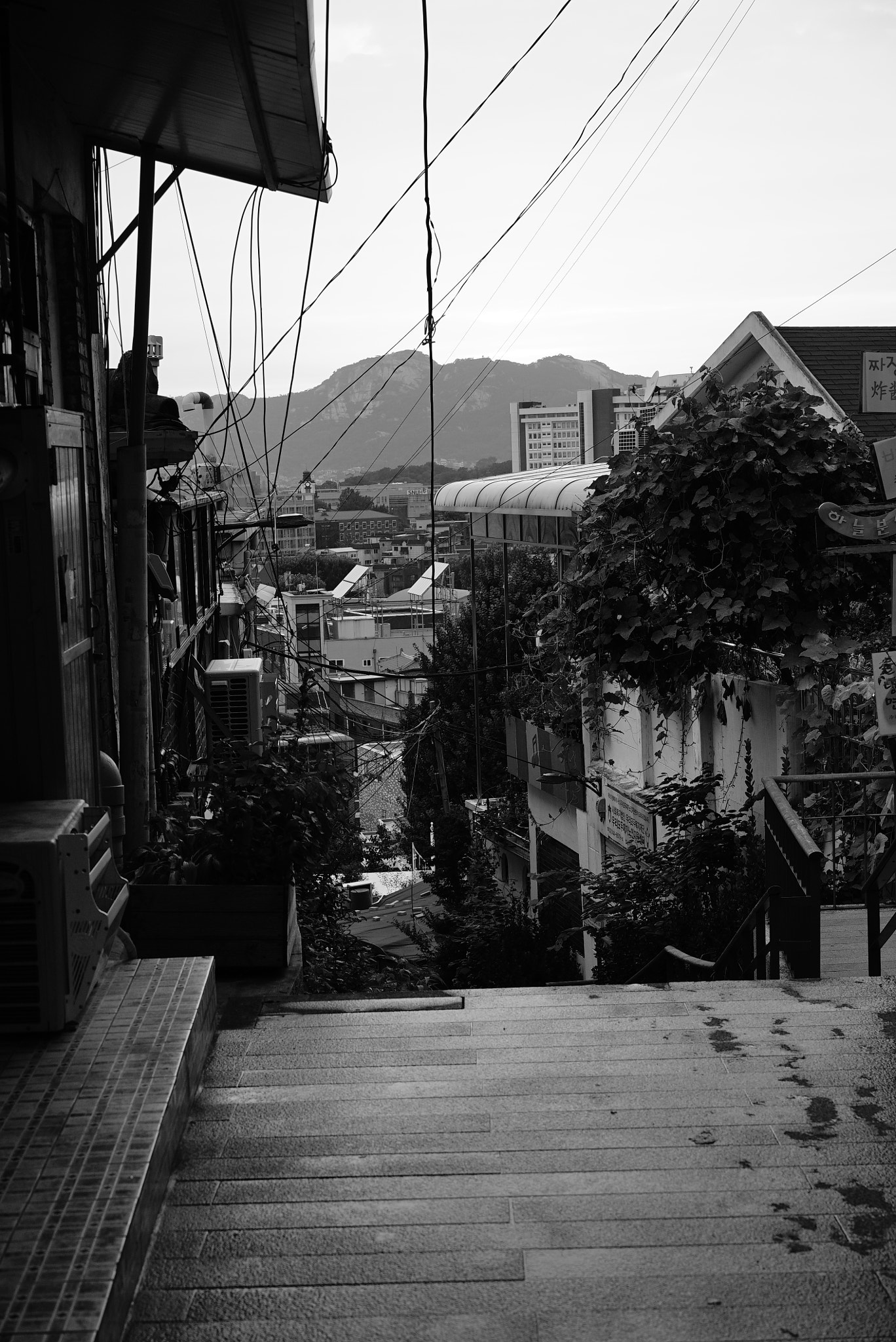 Sony a7S + Sony Sonnar T* FE 55mm F1.8 ZA sample photo. Narrow road in seoul photography
