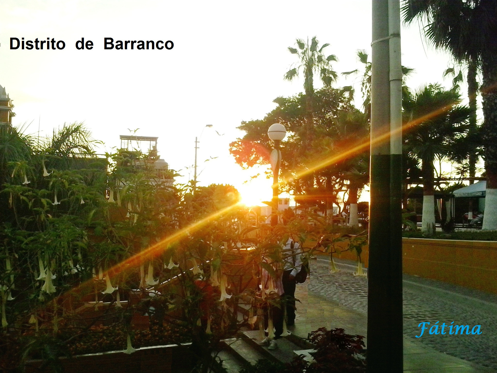 Samsung Galaxy Music Duos sample photo. Atardecer parque de la cruz photography