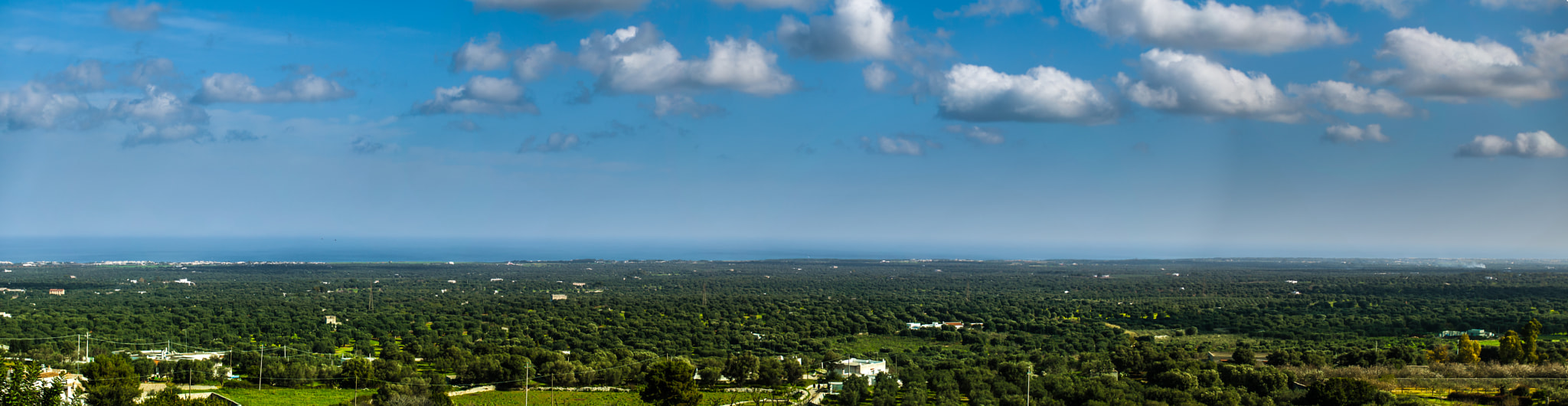 Nikon D700 + Sigma 50-150mm F2.8 EX APO DC HSM sample photo. Olive gardens, sea &amp; sky in februar photography