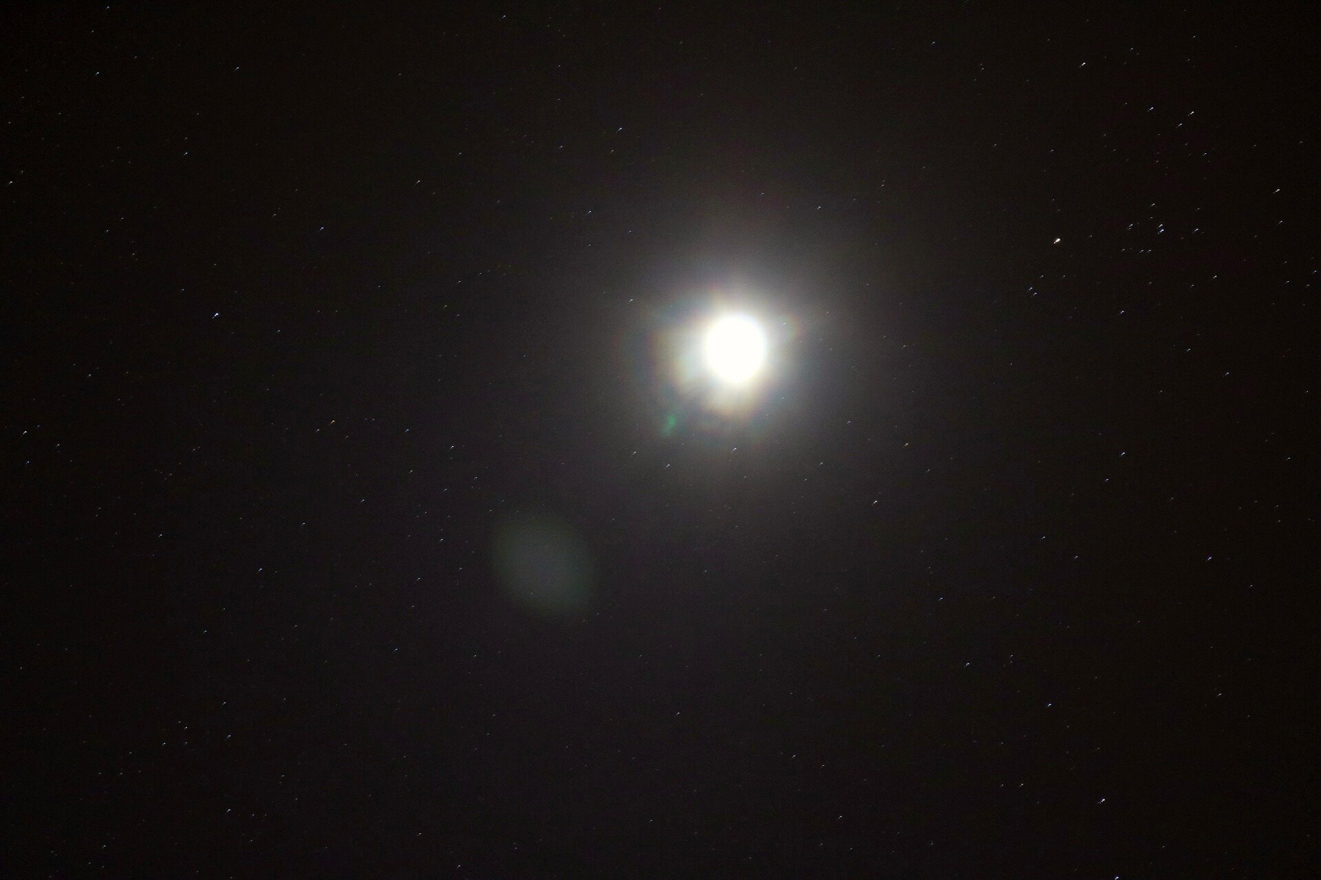 Canon EOS 750D (EOS Rebel T6i / EOS Kiss X8i) sample photo