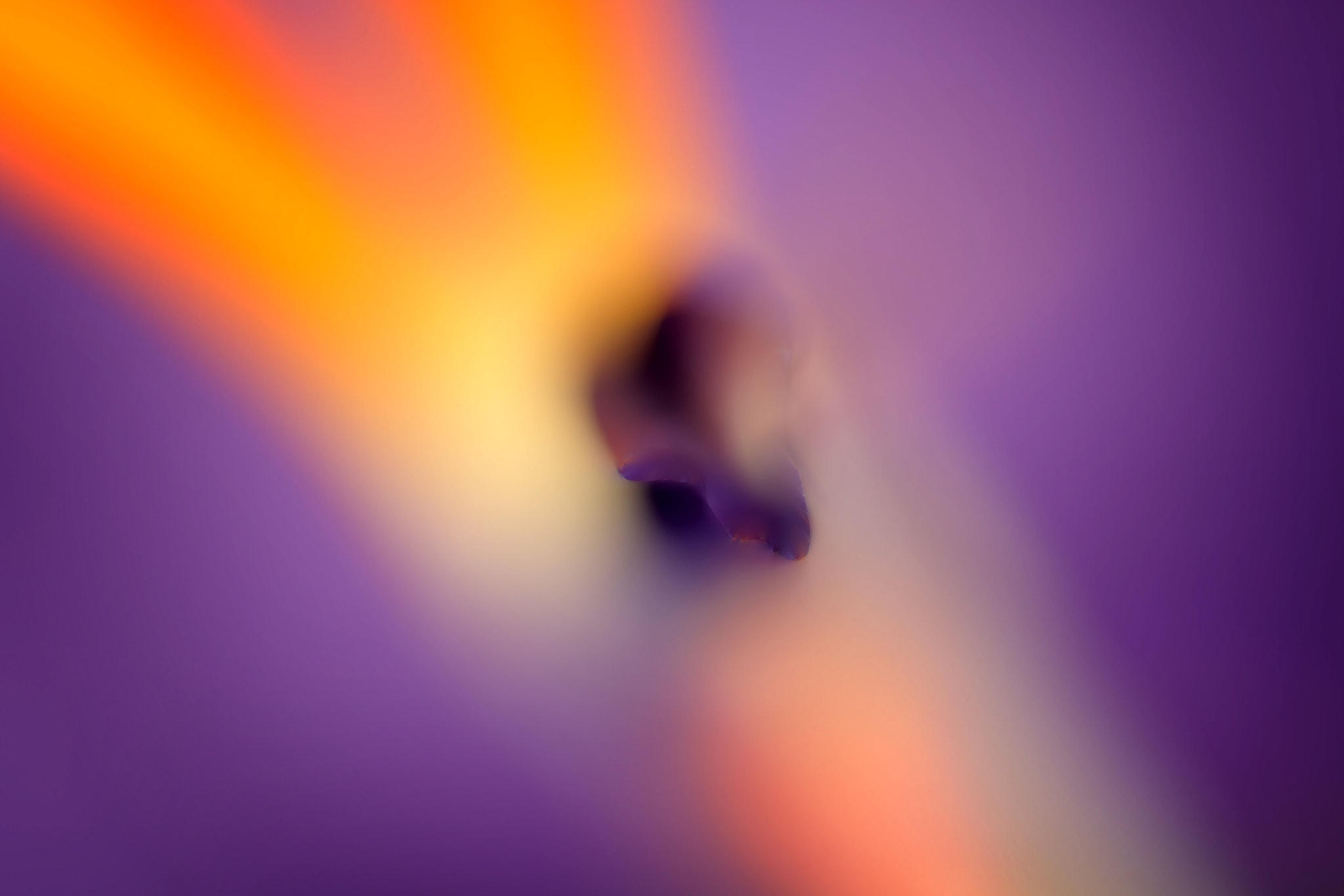 Canon EF 50mm F2.5 Macro sample photo. Aura photography