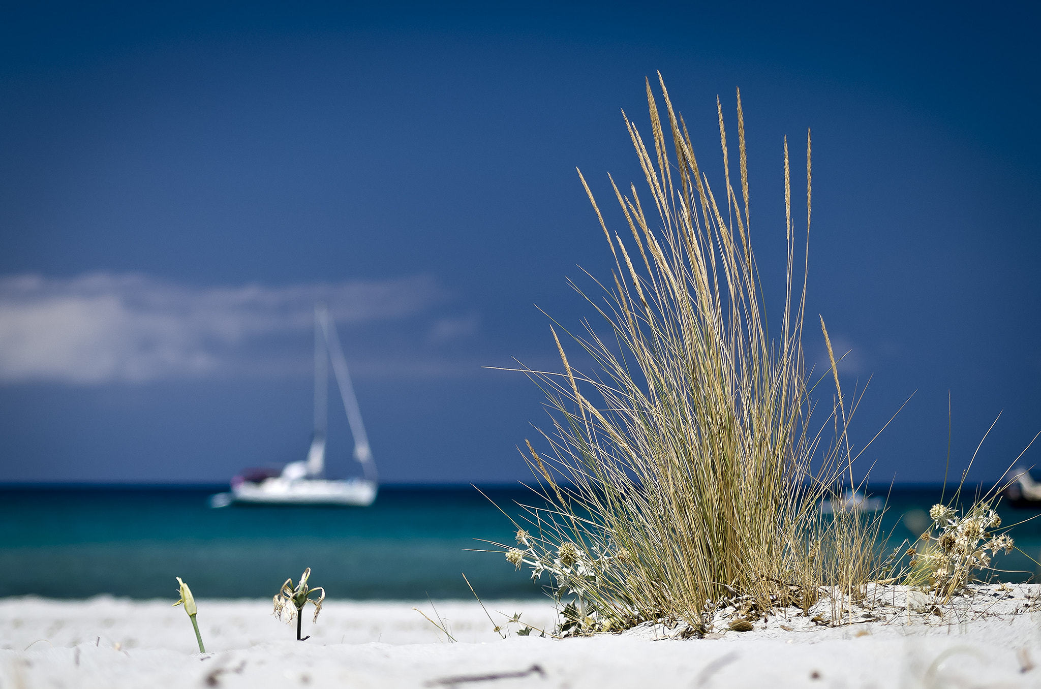 Sigma 50-150mm F2.8 EX APO DC HSM sample photo. Sardegna - italia photography