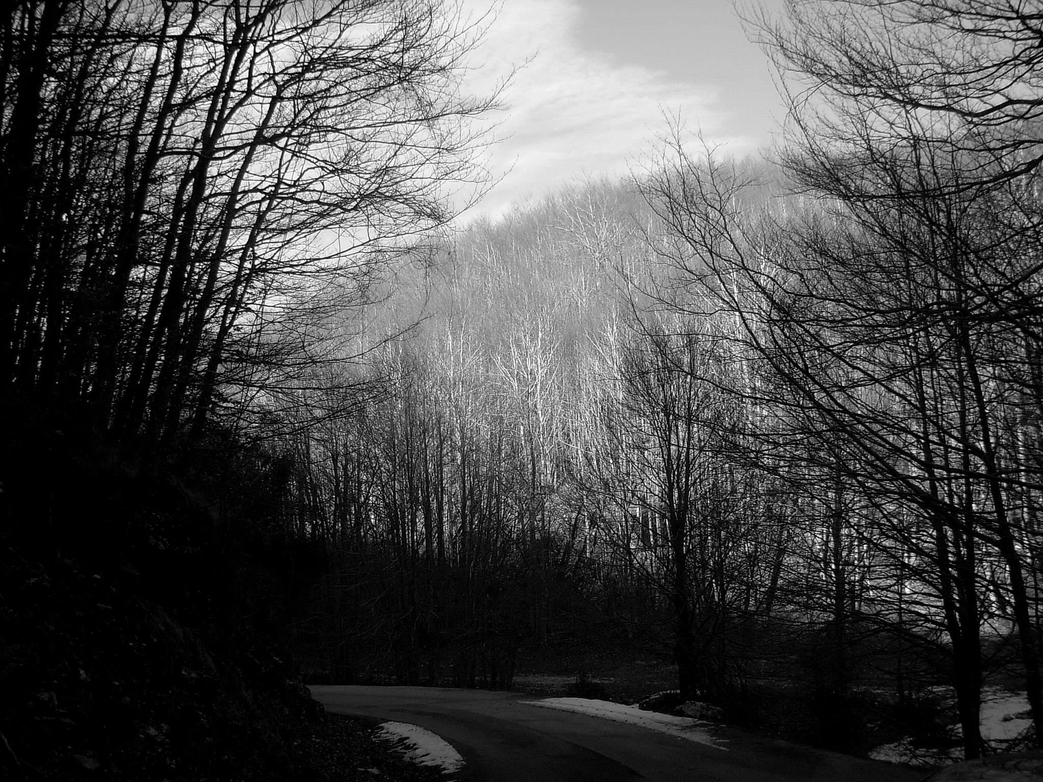 Nikon COOLPIX L5 sample photo. Winter road photography