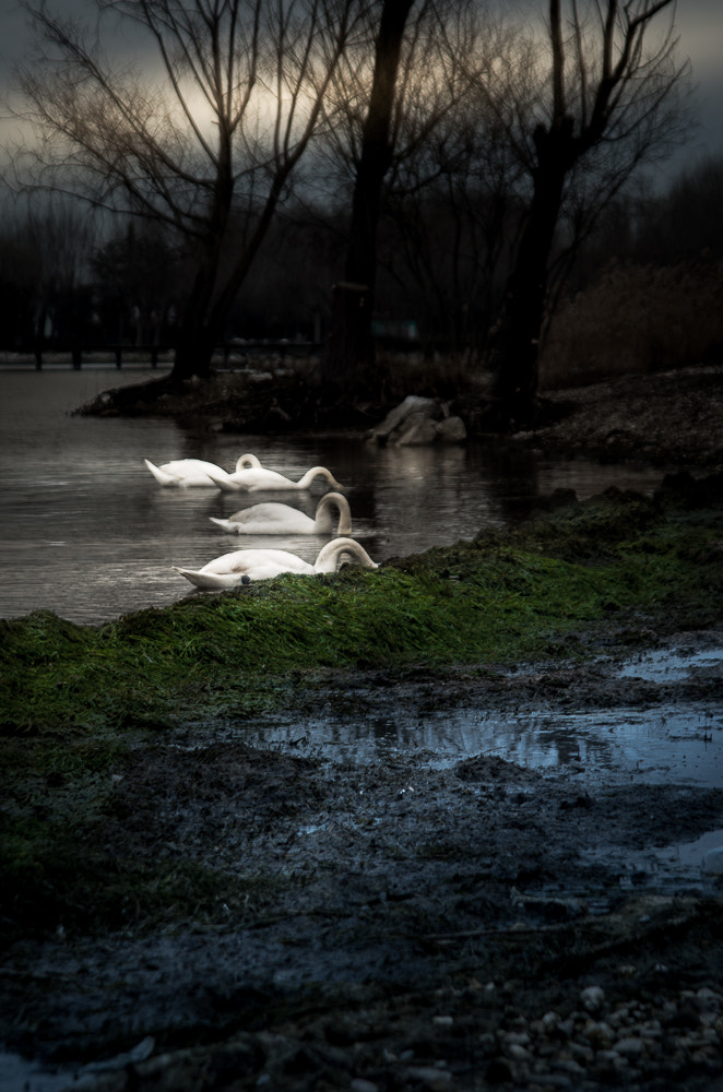 Pentax K-50 sample photo. Lago di garda photography