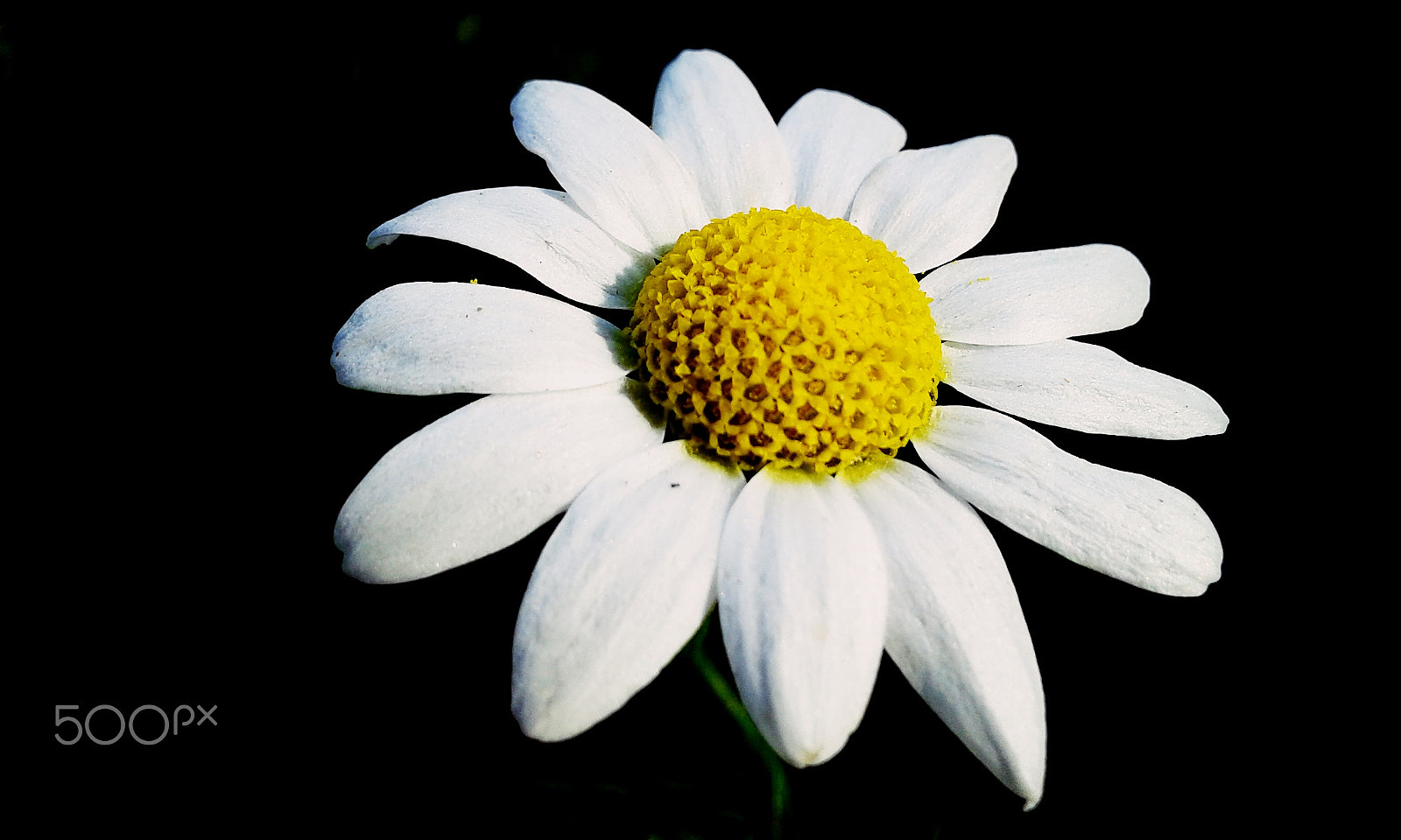 Samsung Galaxy Core Plus sample photo. Simplicity photography