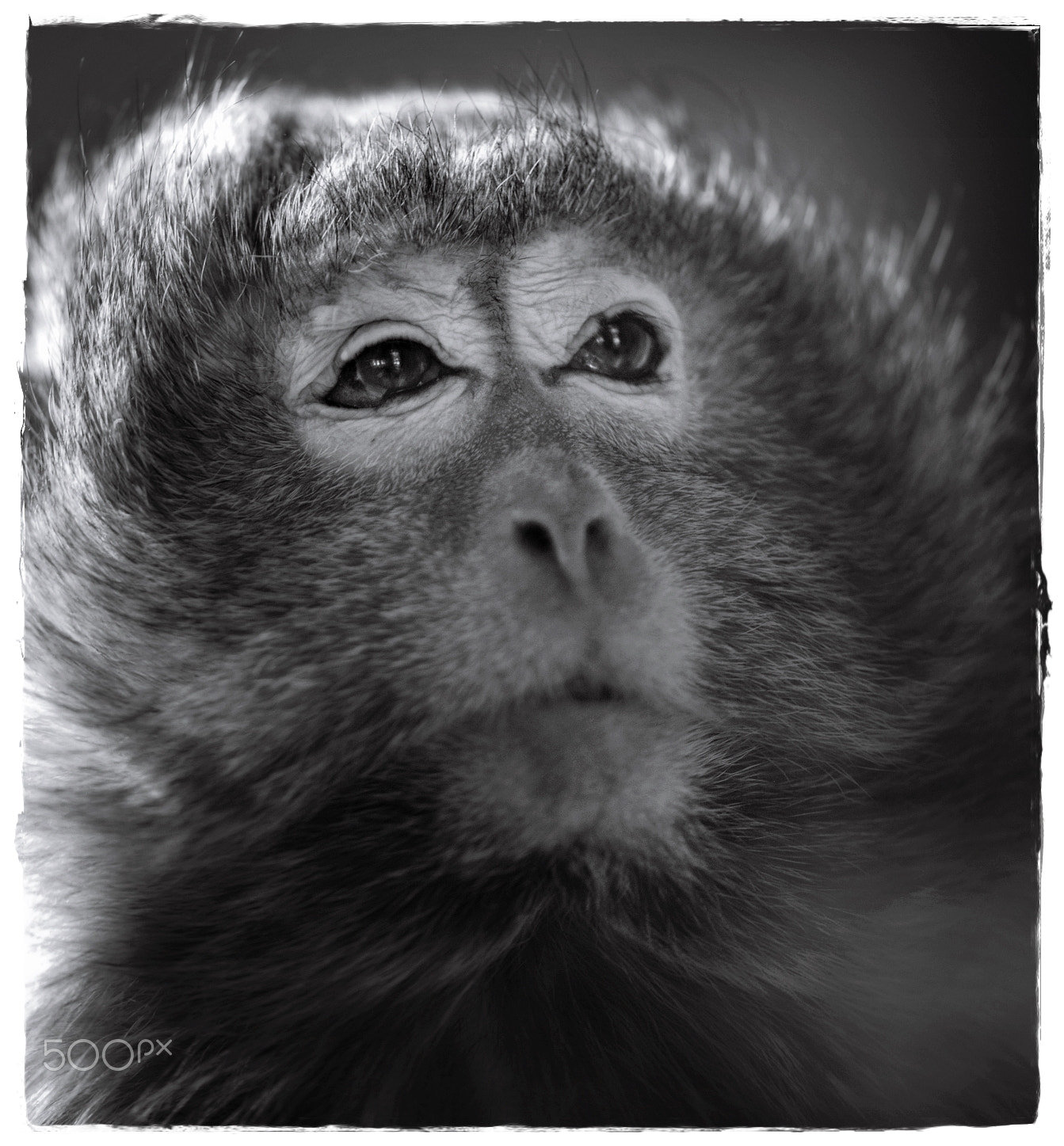 Nikon D600 sample photo. Thoughtfully photography