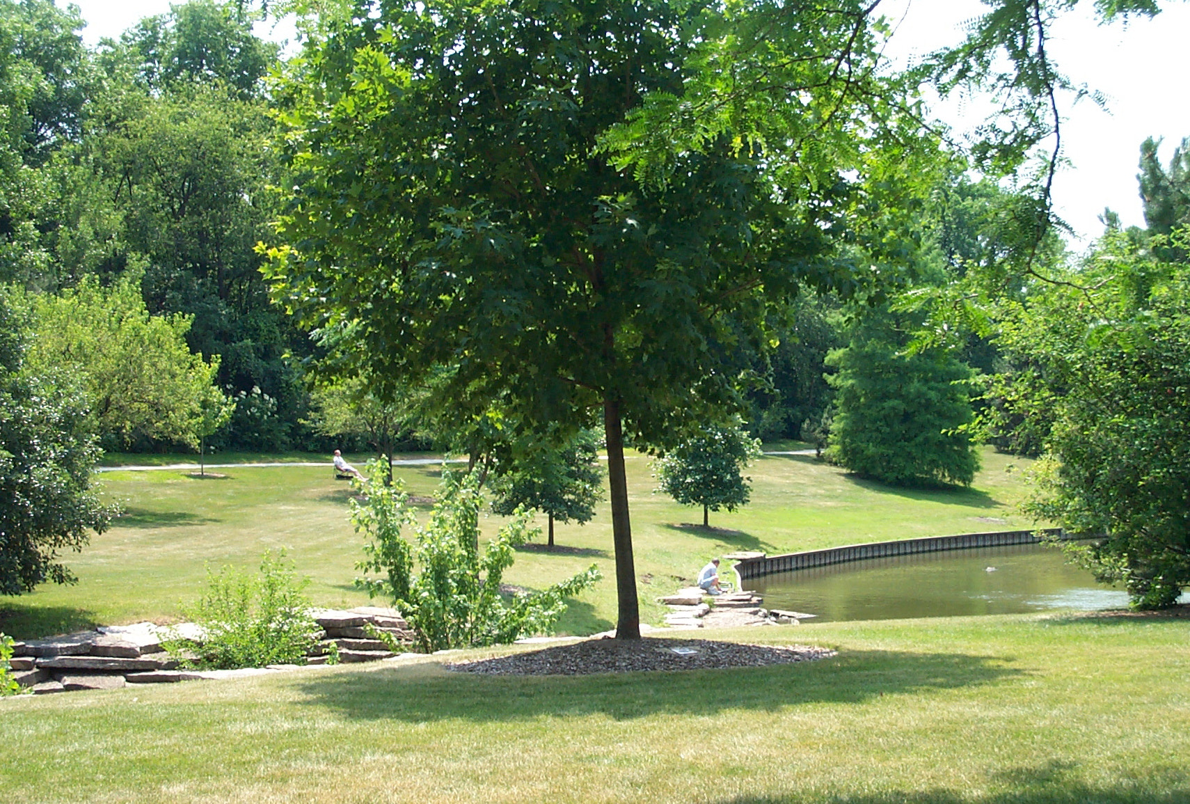 Kodak DC280 ZOOM DIGITAL CAMERA sample photo. Relaxing at a park photography