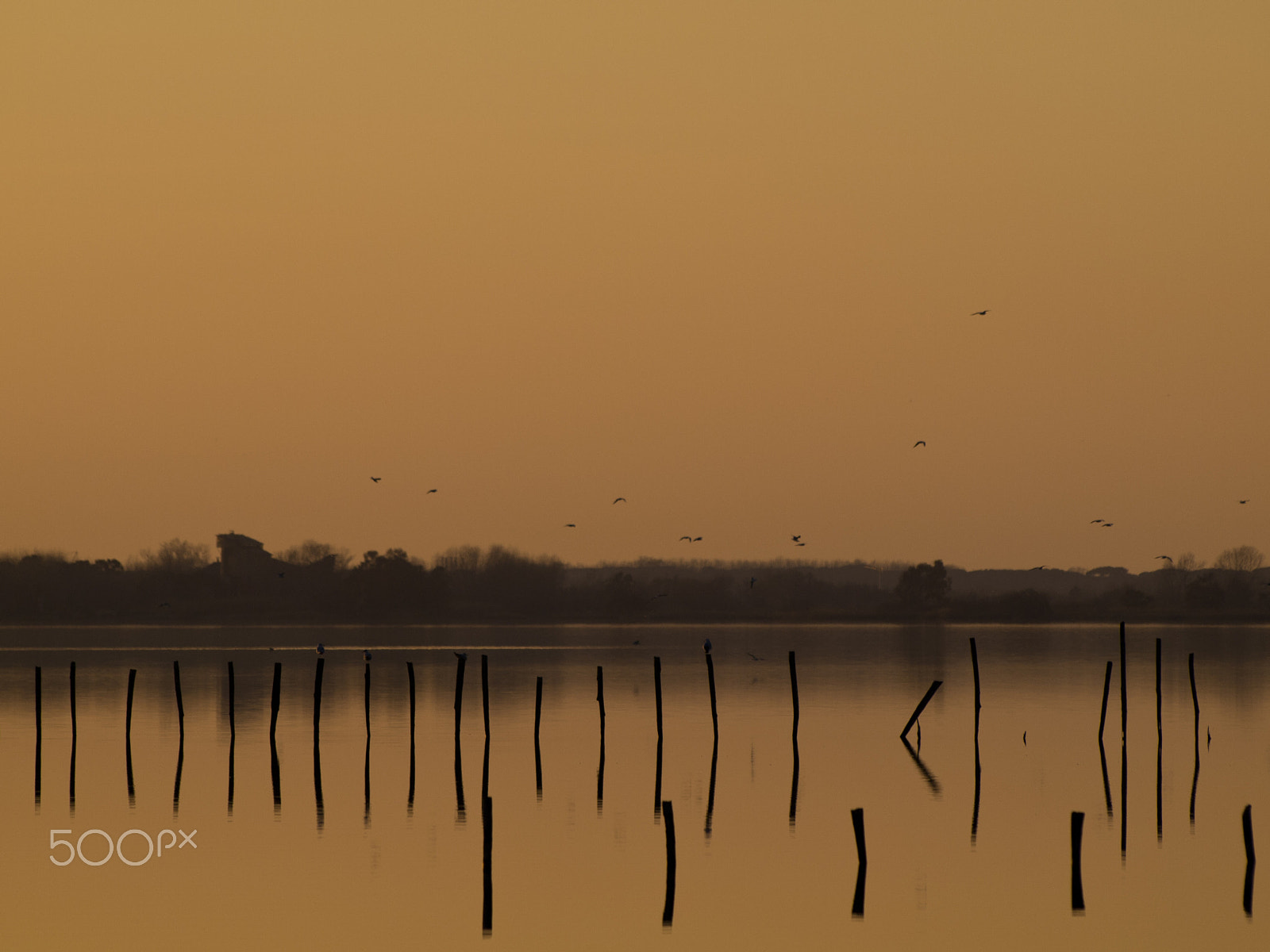 Olympus Zuiko Digital ED 70-300mm F4.0-5.6 sample photo. Orange lake photography