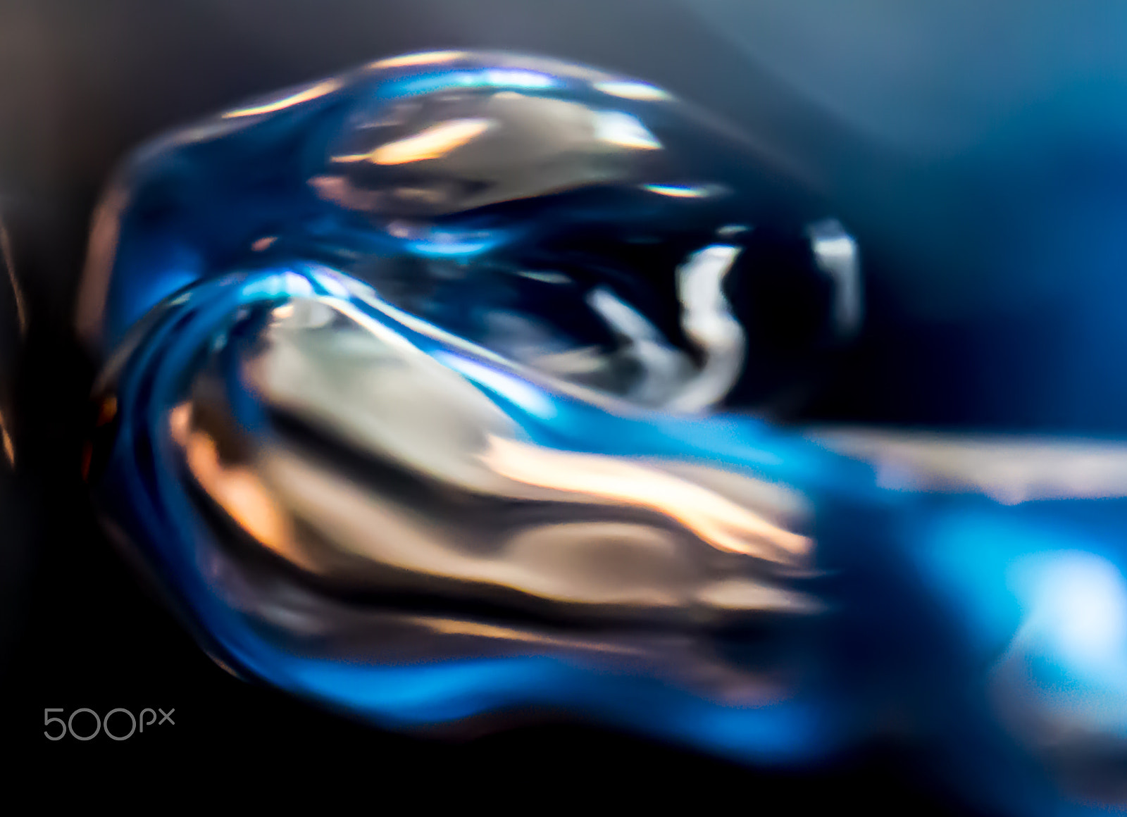 Tamron SP AF 60mm F2 Di II LD IF Macro sample photo. Under the sea photography