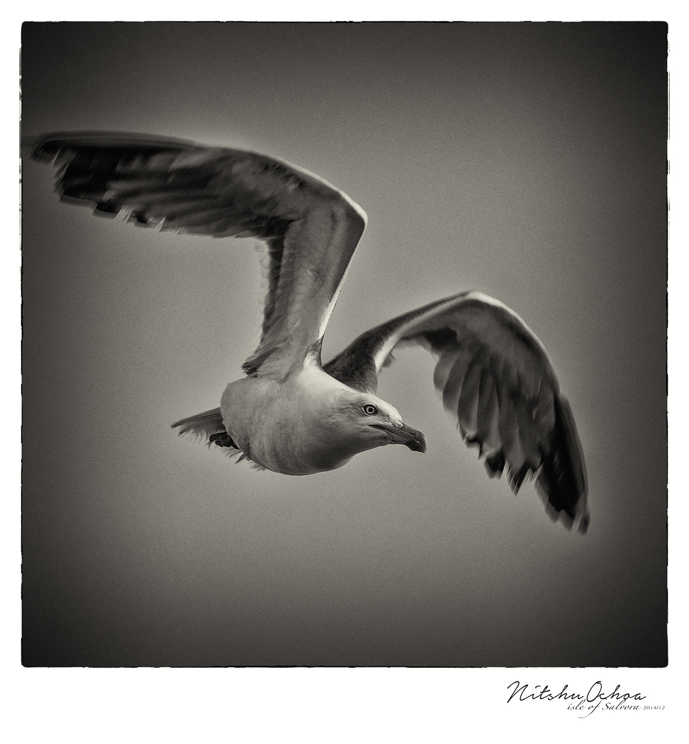 Pentax K-3 sample photo. Salvora isla (px) photography