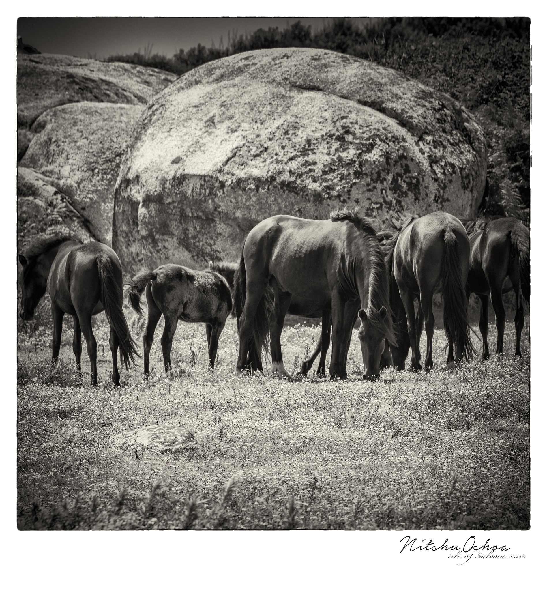 Pentax K-3 sample photo. Salvora isla (x) photography